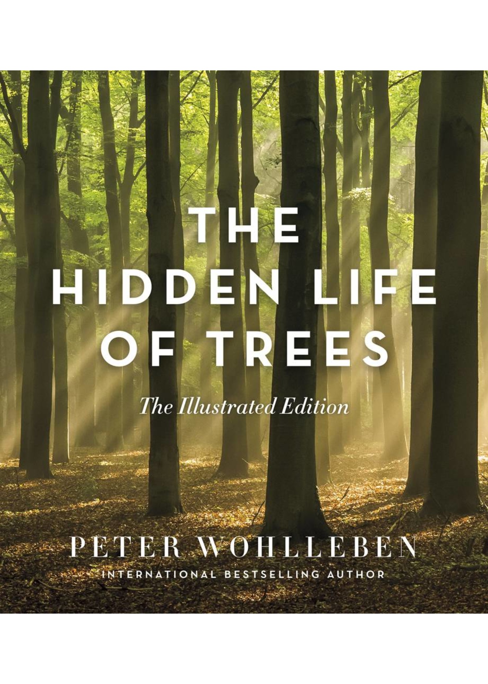The Hidden Life Of Trees | The Illustrated Edition