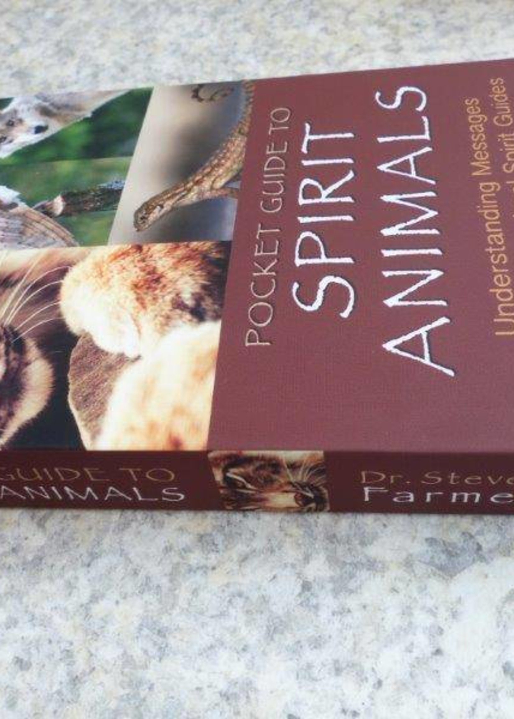 Pocket Guide to Spirit Animals | Understanding Messages from Your Animal Spirit Guides