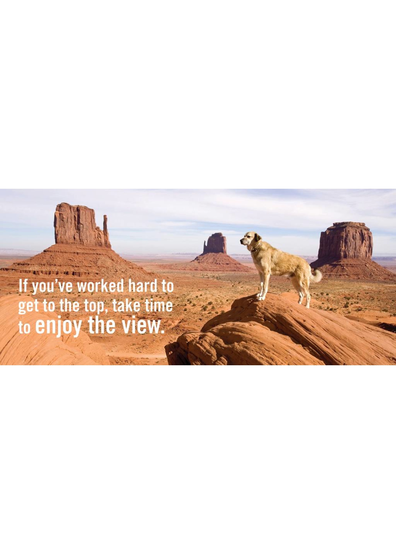 Really Important Stuff My Dog Has Taught Me