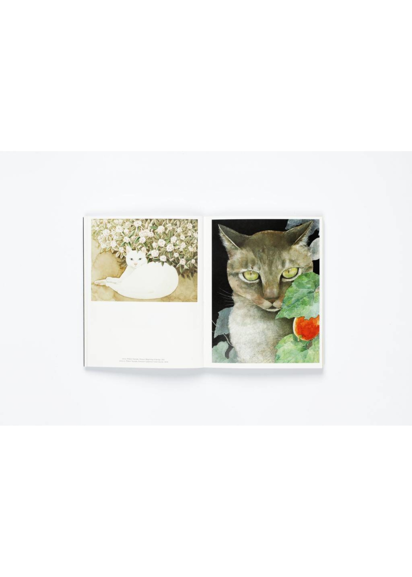 The Book of the Cat | Cats in Art