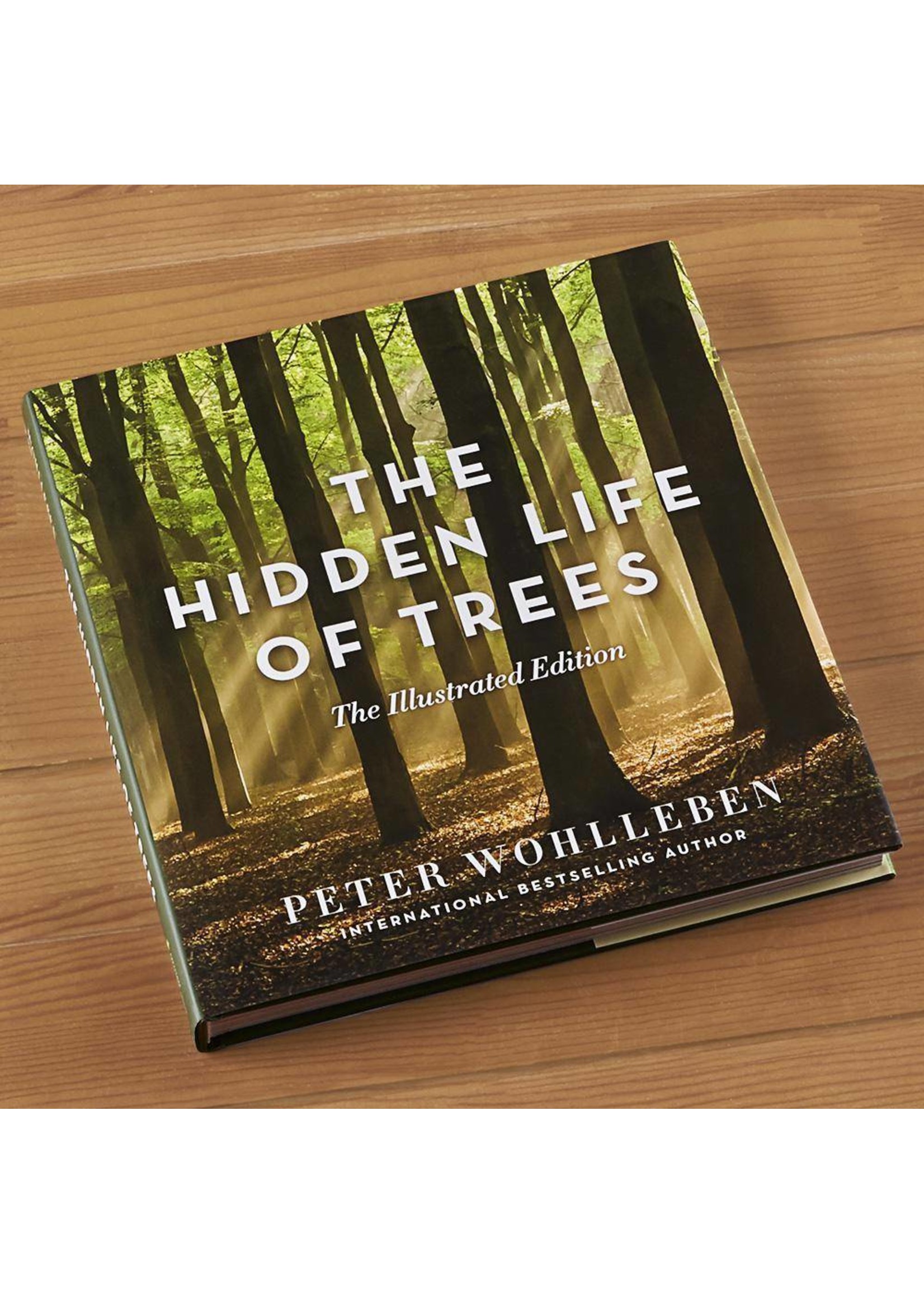 The Hidden Life Of Trees | The Illustrated Edition