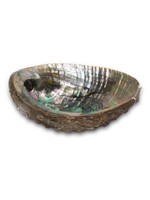 Smudge Accesories Abalone Shell Md Burner