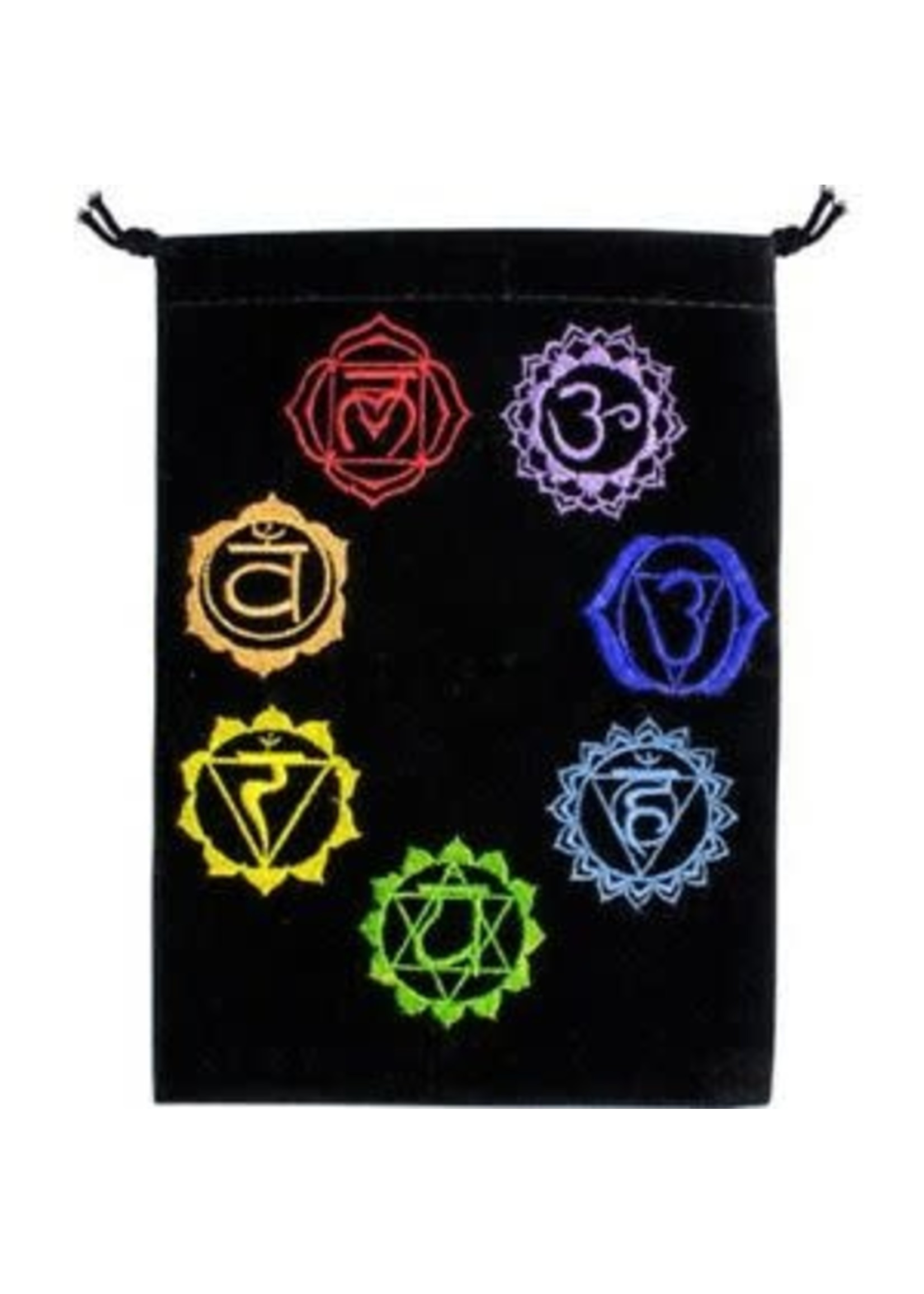 Black Velvet Embroidered Bags