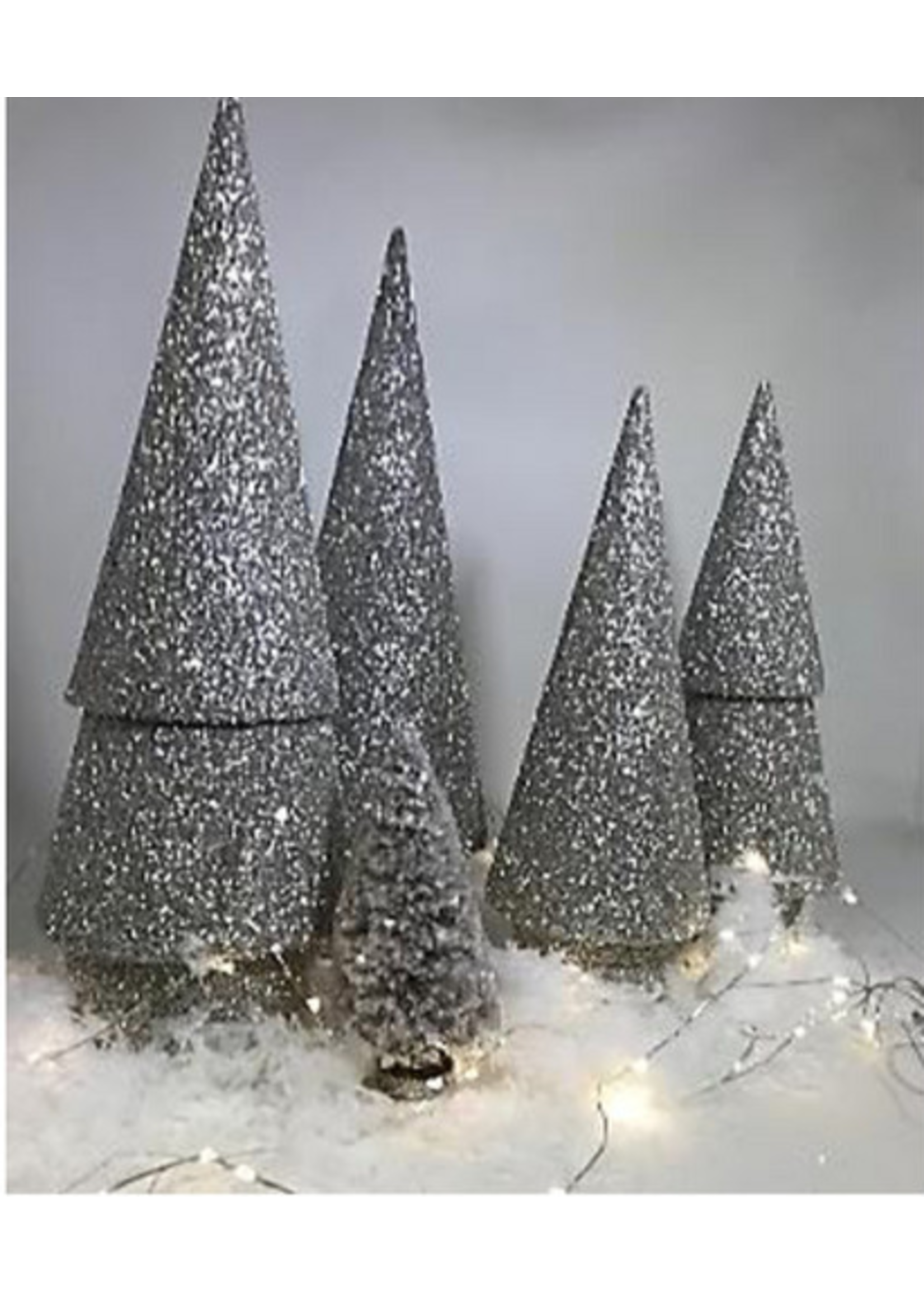 Silver Trees