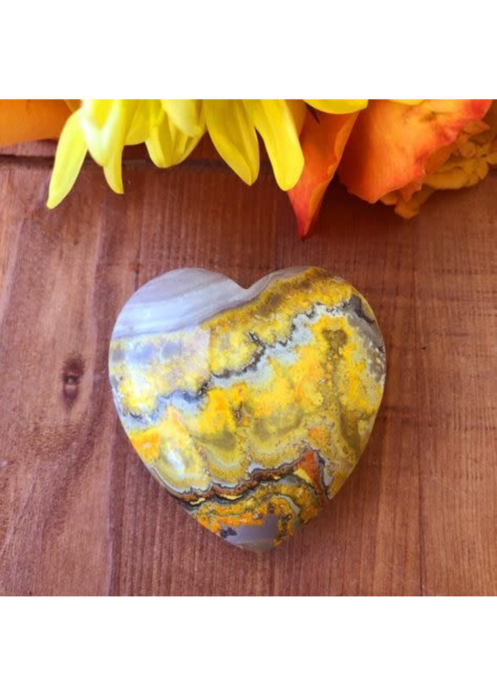 Bumblebee Jasper Hearts