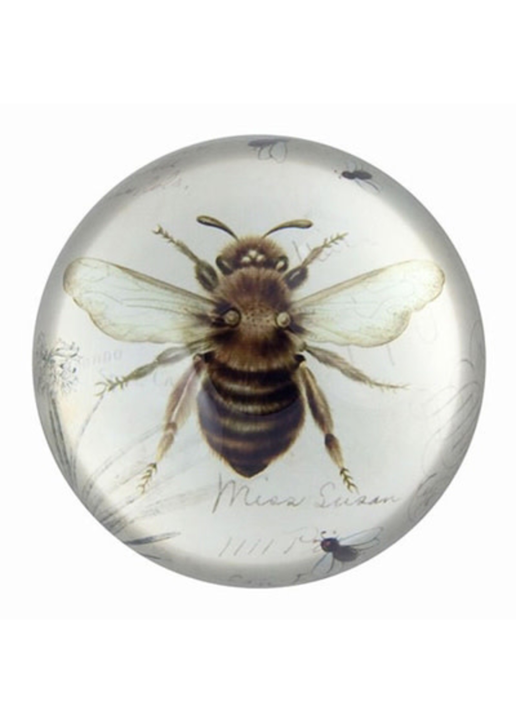 Paperweight Bee Print Glass