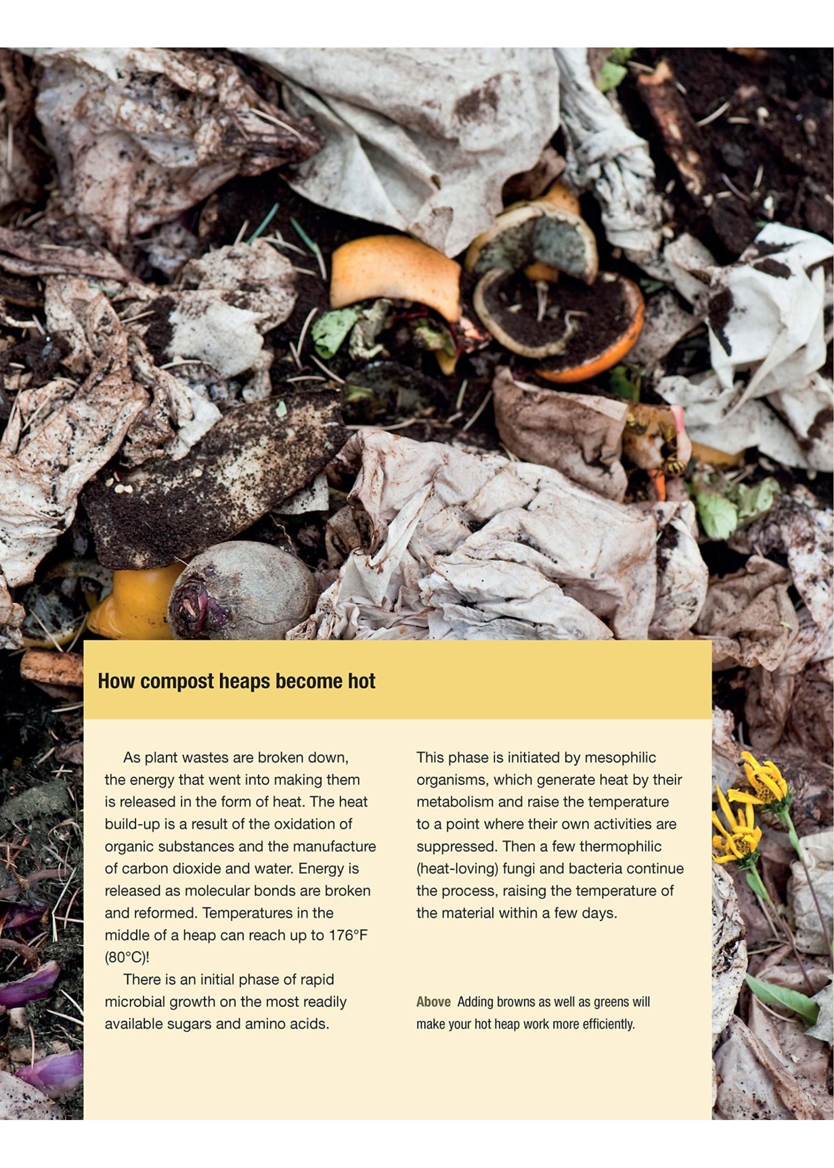 Organic Book of Compost, 2nd Revised Edition: Easy and Natural Techniques to Feed Your Garden (Revised) (2ND ed.)