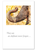 Card TY Elephant They Say And Elephant Never Forgets....