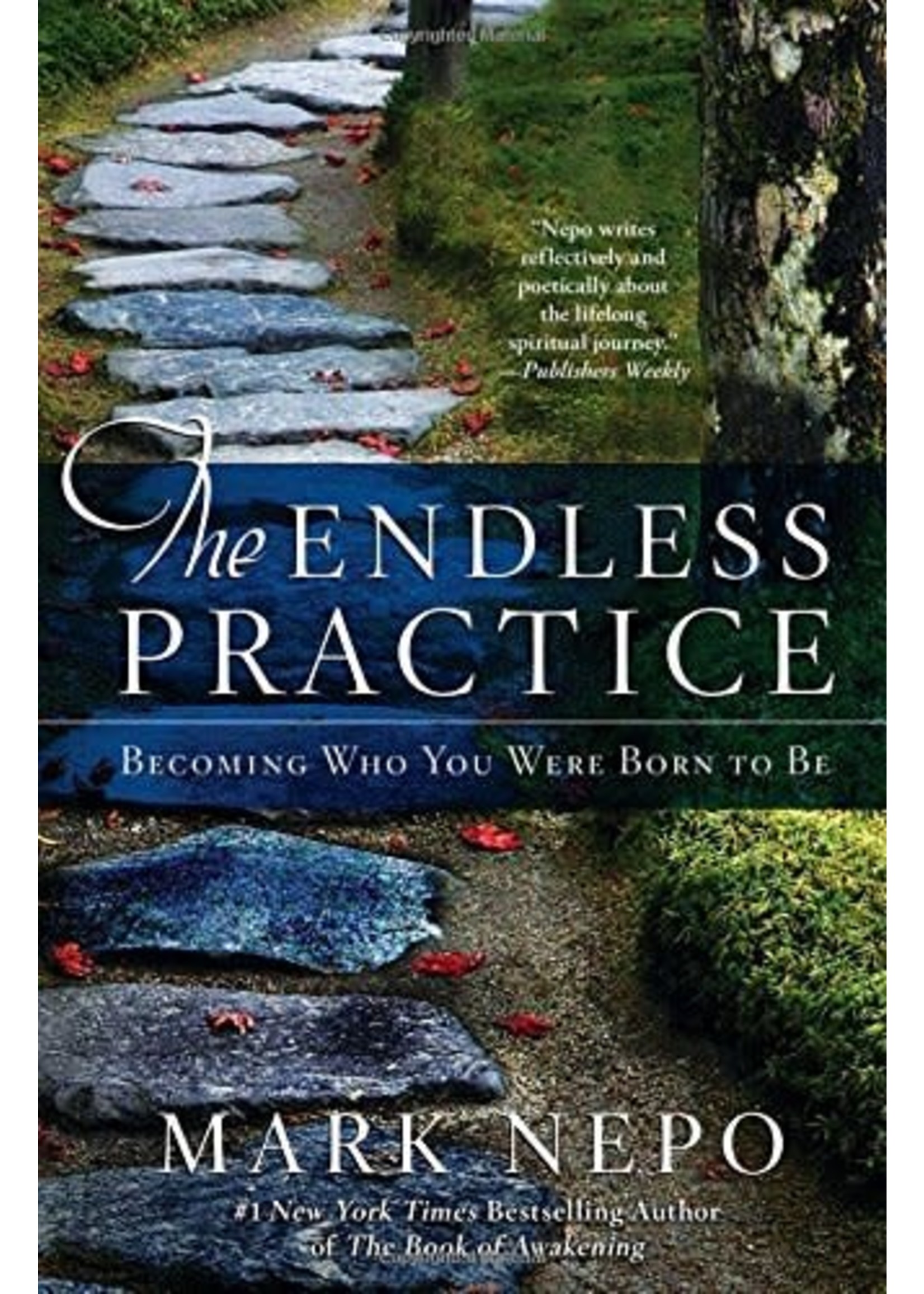 The Endless Practice: Becoming Who You Were Born to Be (Paperback)