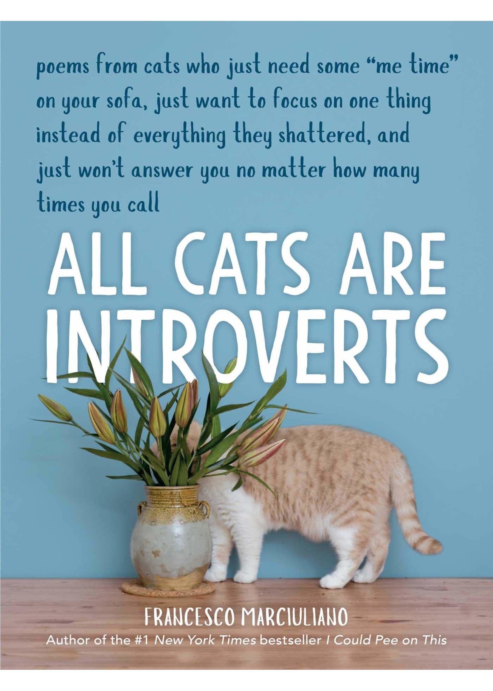 All Cats Are Introverts