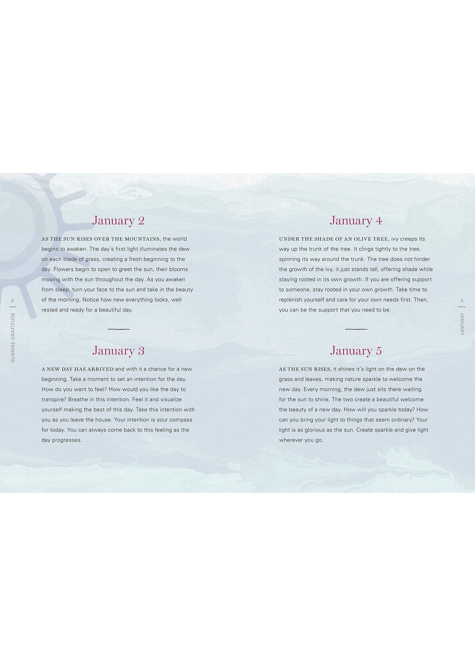 Sunrise Gratitude 365 Morning Meditations for Joyful Days All Year Long
