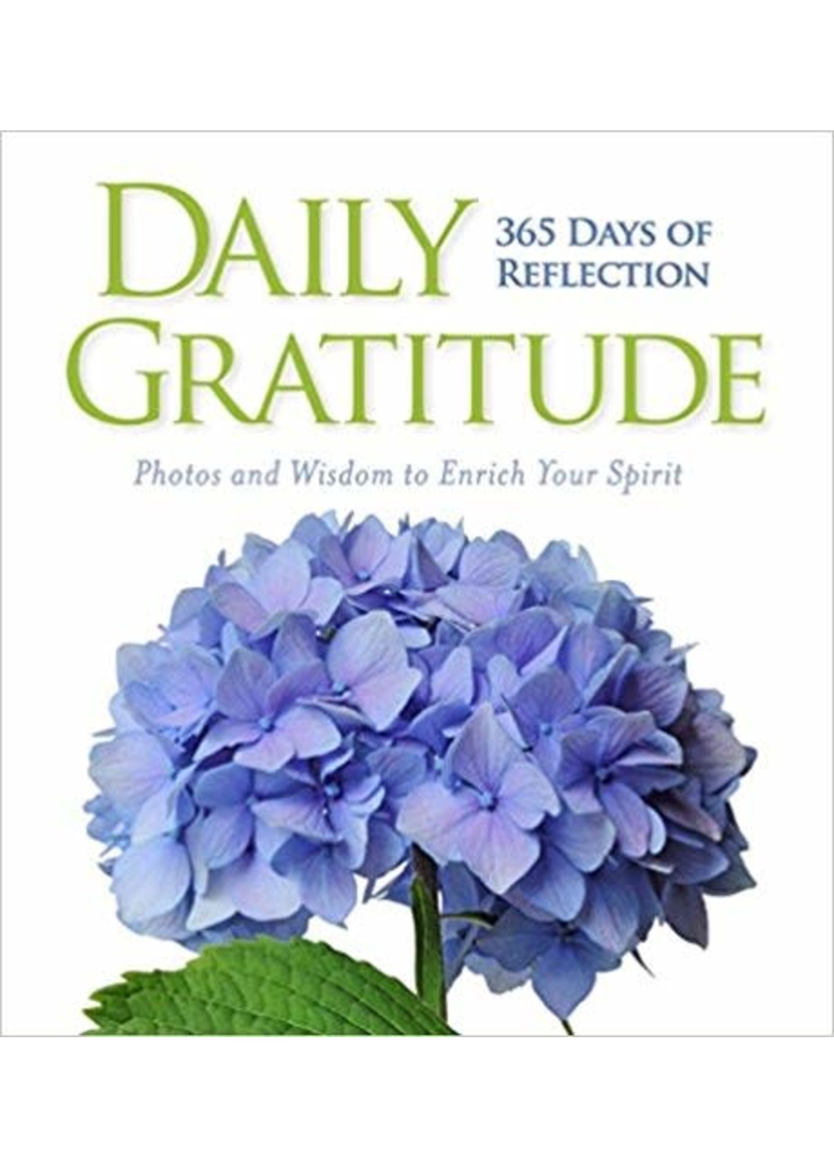 Daily Gratitude: 365 Days of Reflection