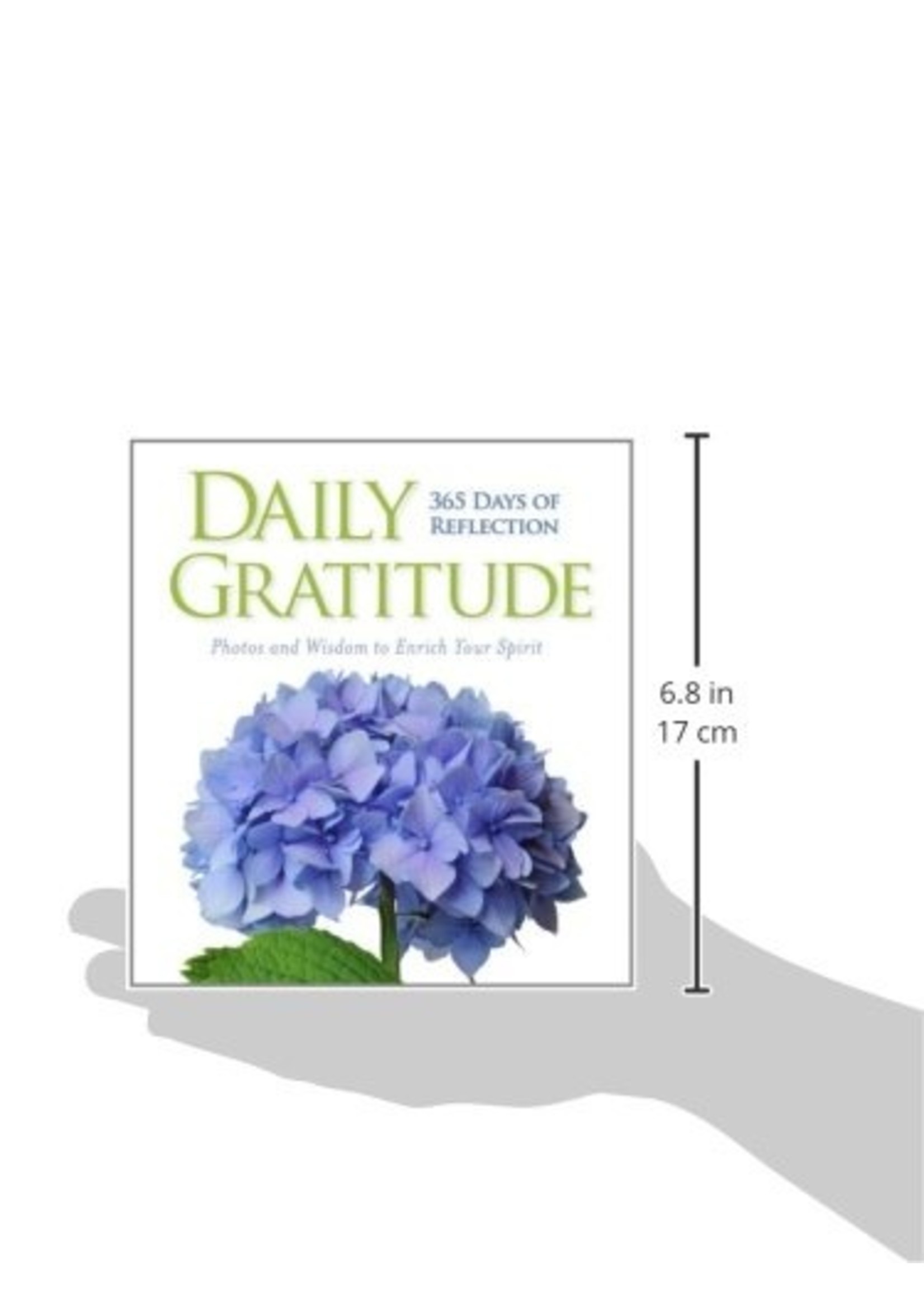 Daily Gratitude: 365 Days of Reflection