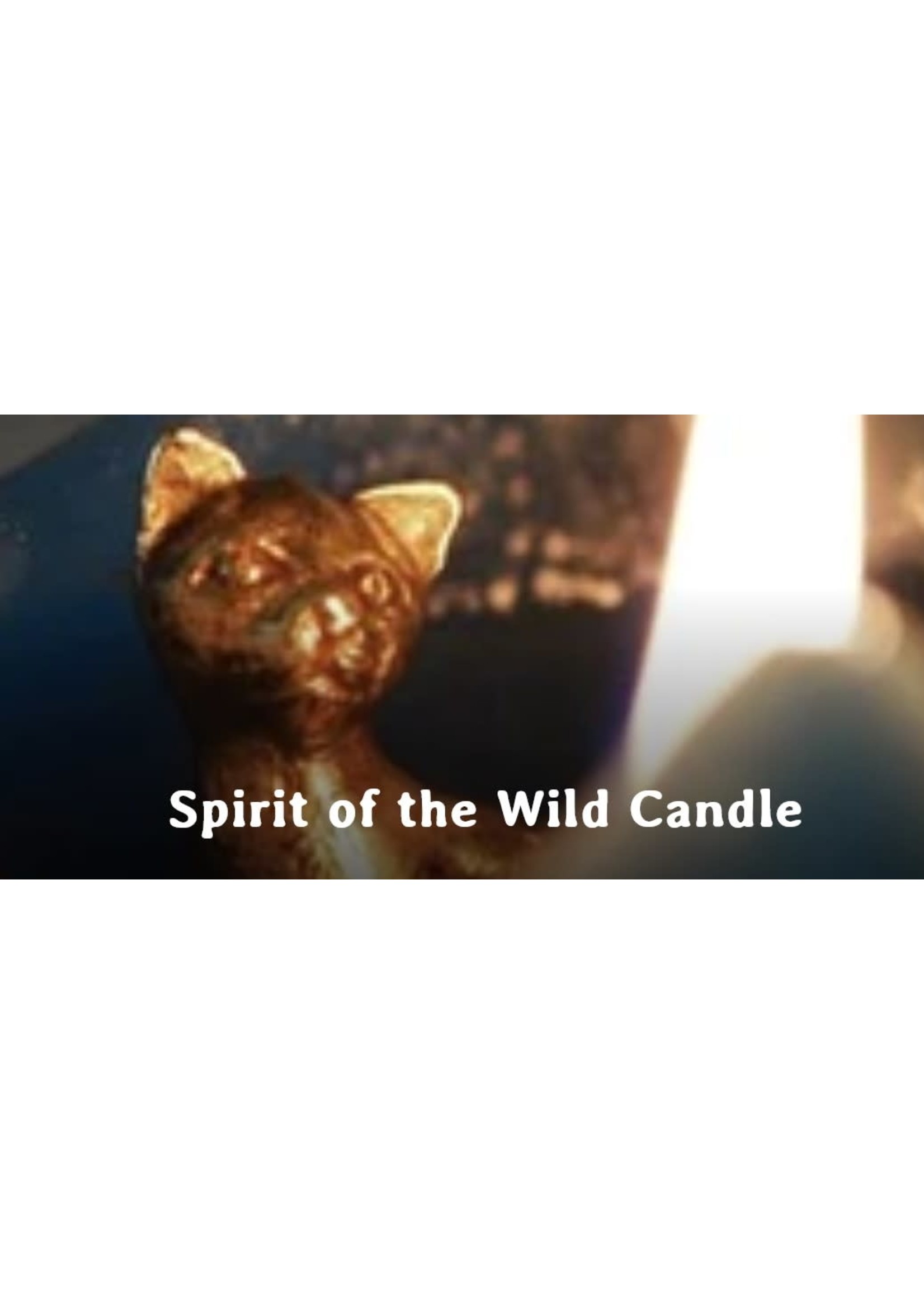 SoulTerra Pyramid Candles - Spirit of the Wild Candle