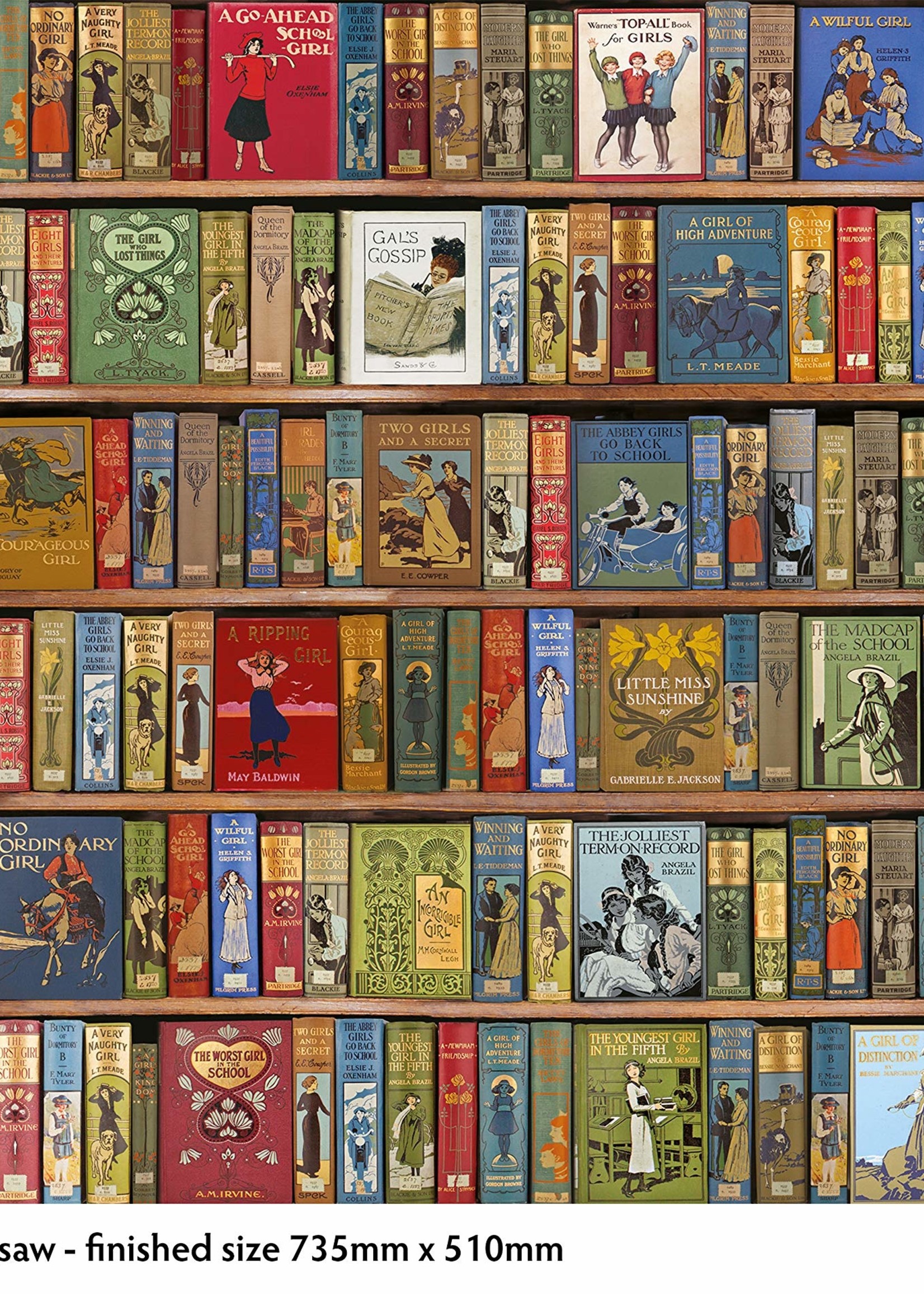 Bodleian Libraries Bookshelves 1000pc Puzze