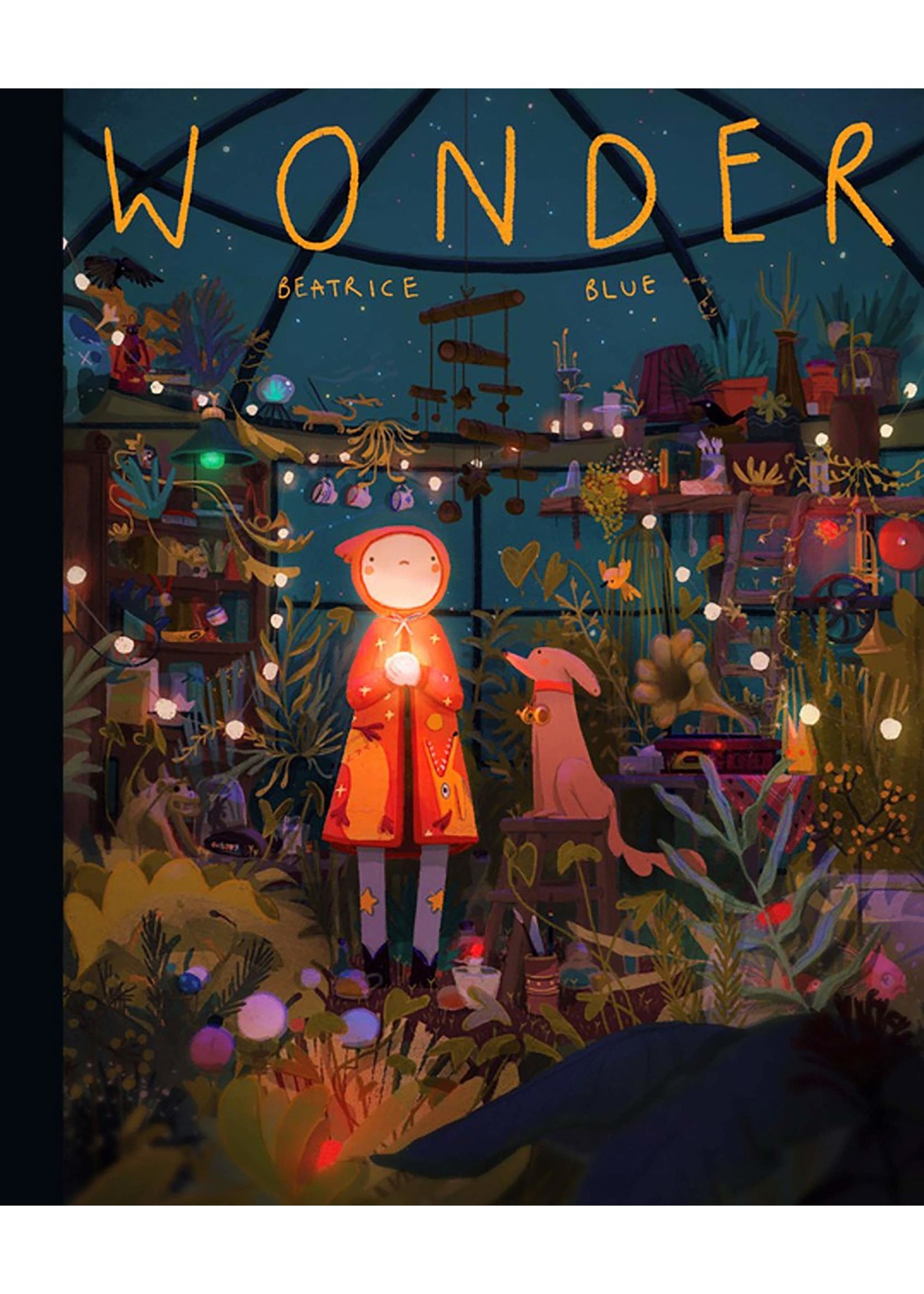 Wonder