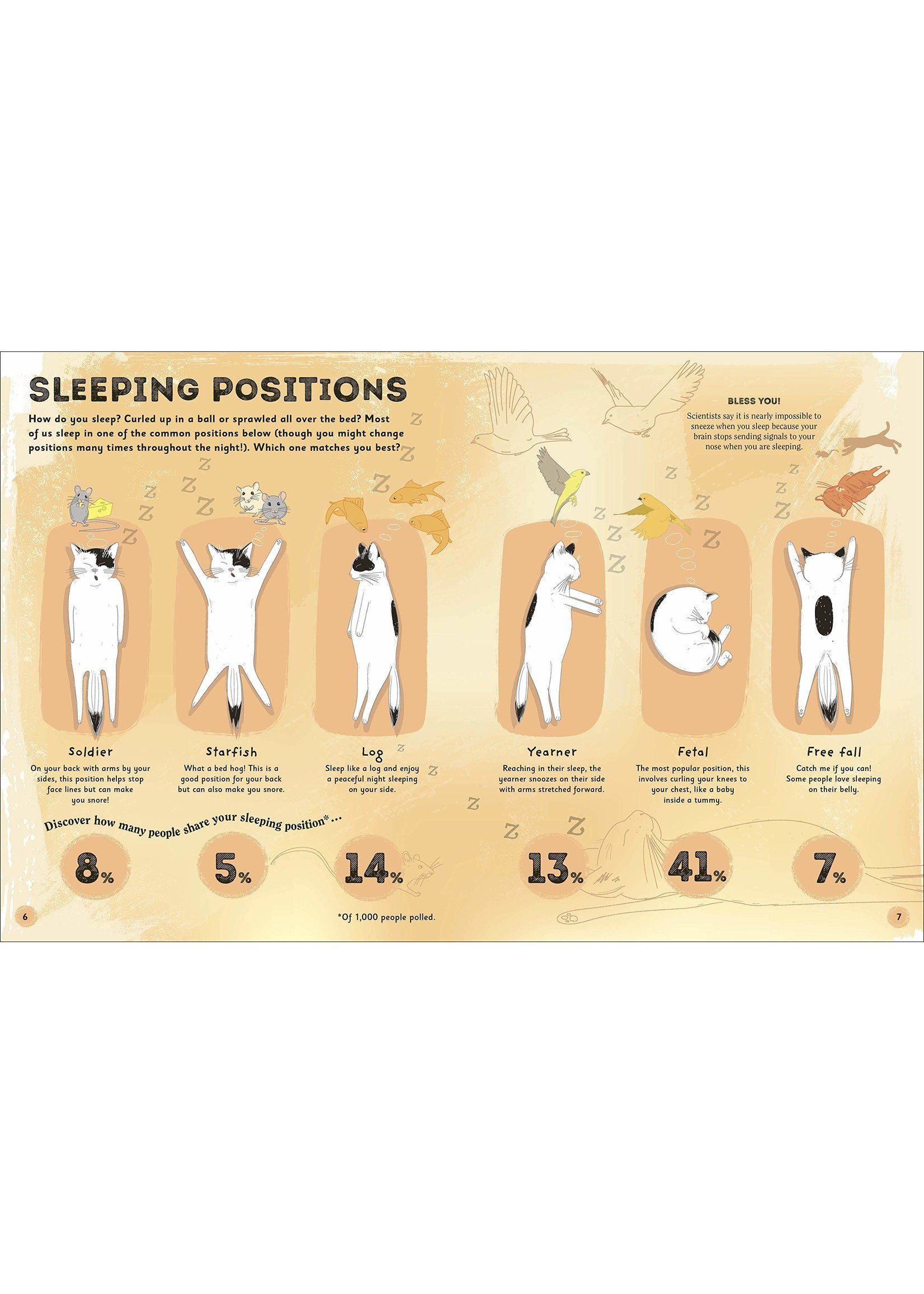 The Magic of Sleep- A Fascinating Guide to the World of Slumber