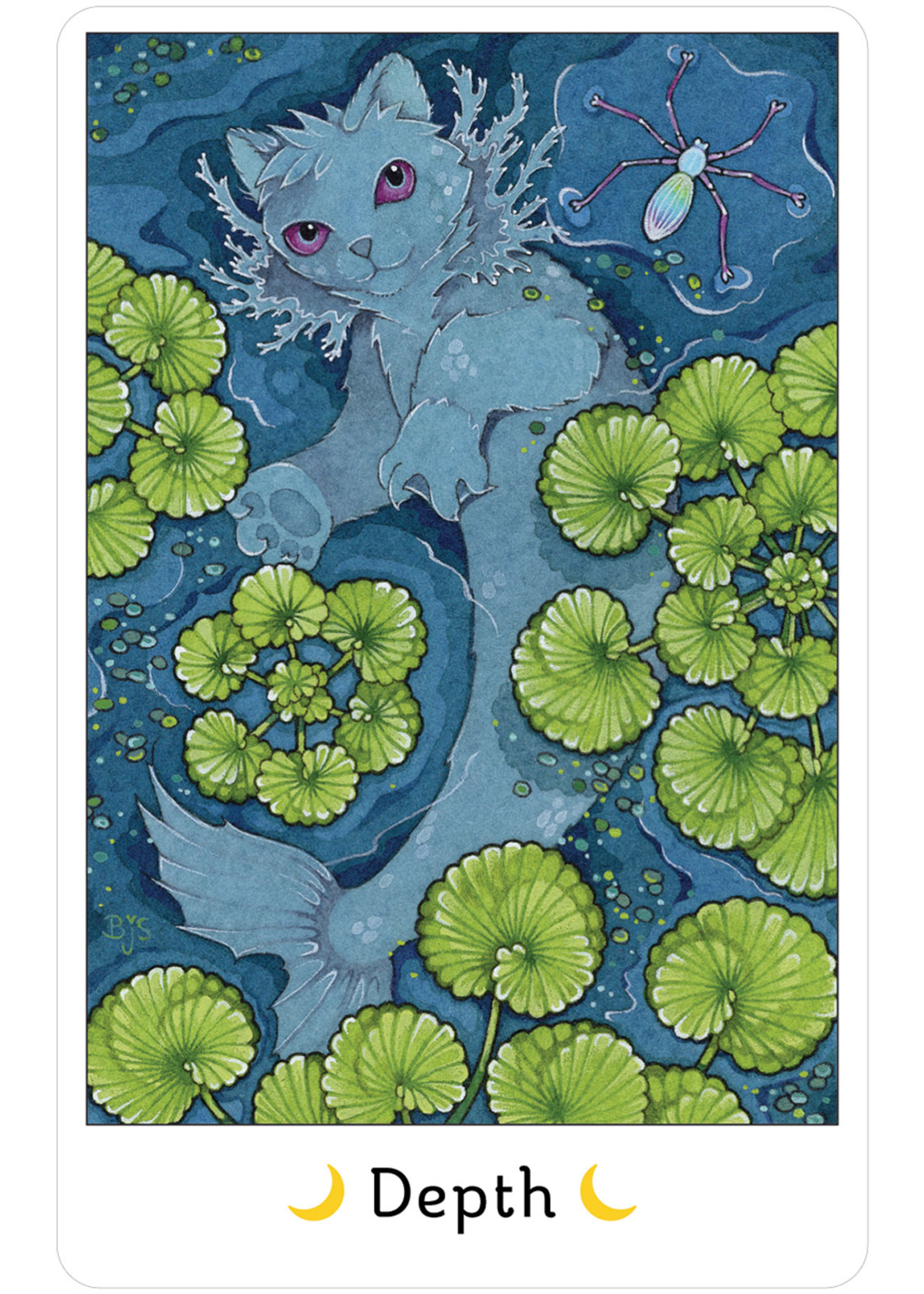 Affirmations of the Fairy Cats