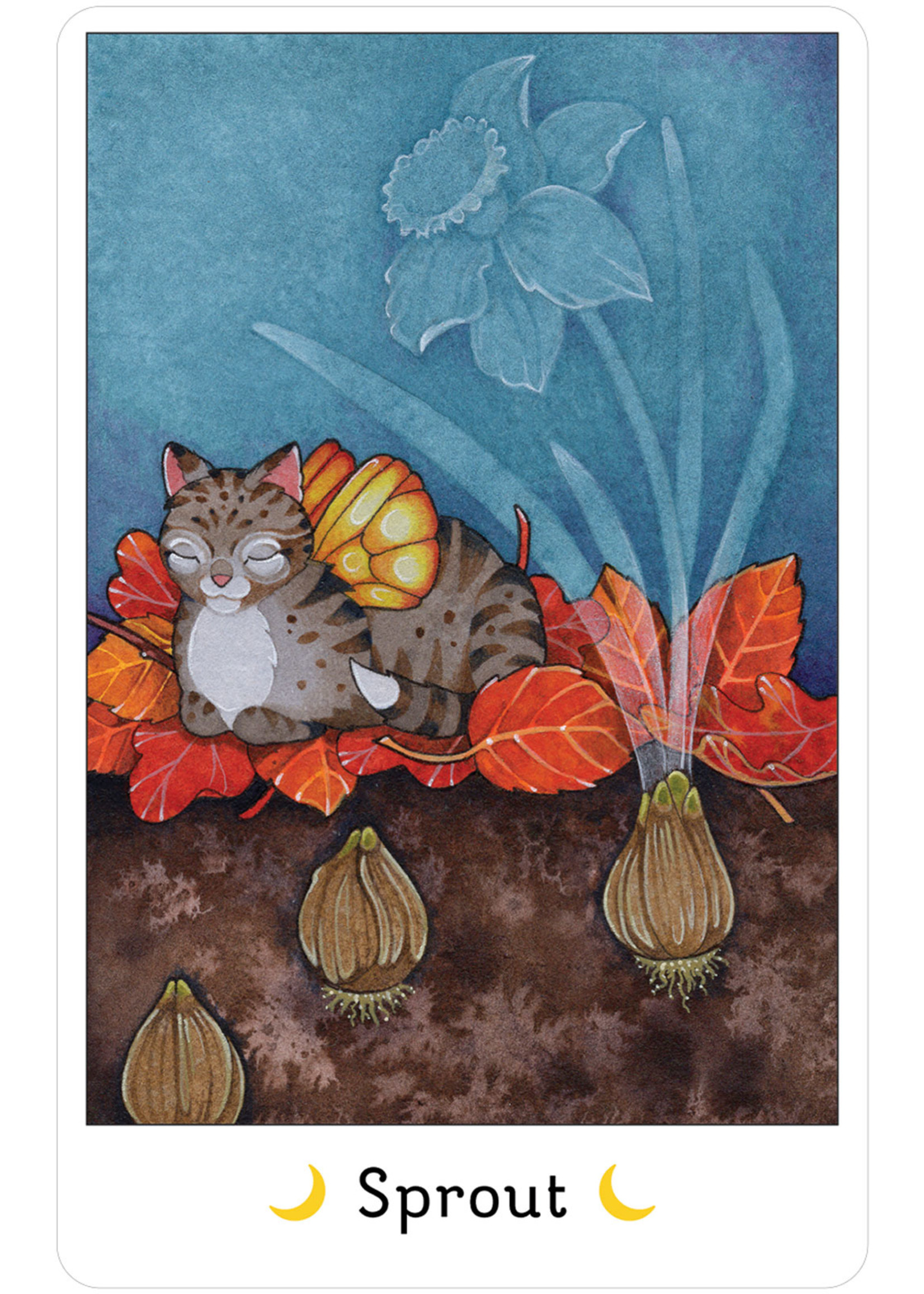Affirmations of the Fairy Cats