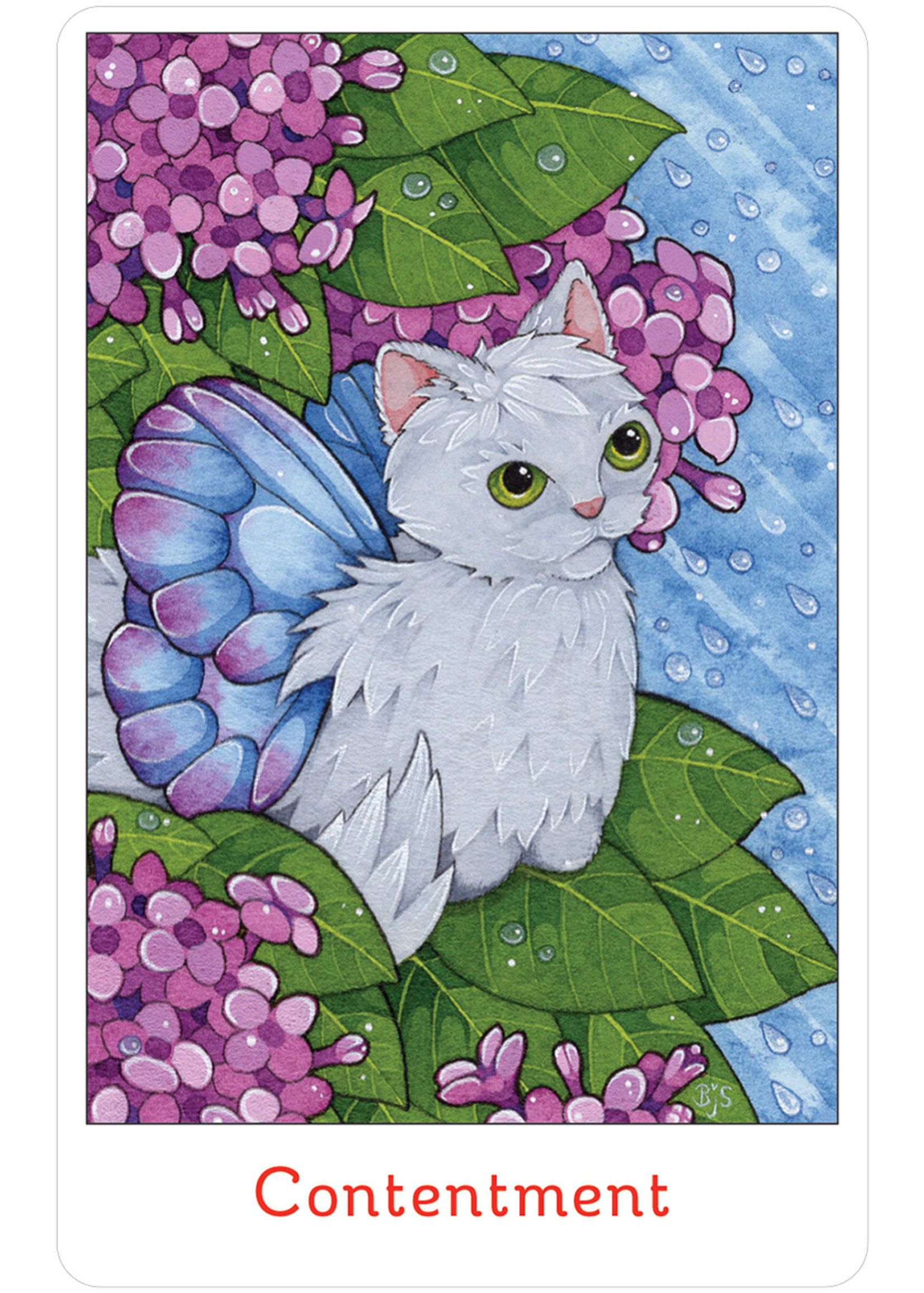 Affirmations of the Fairy Cats