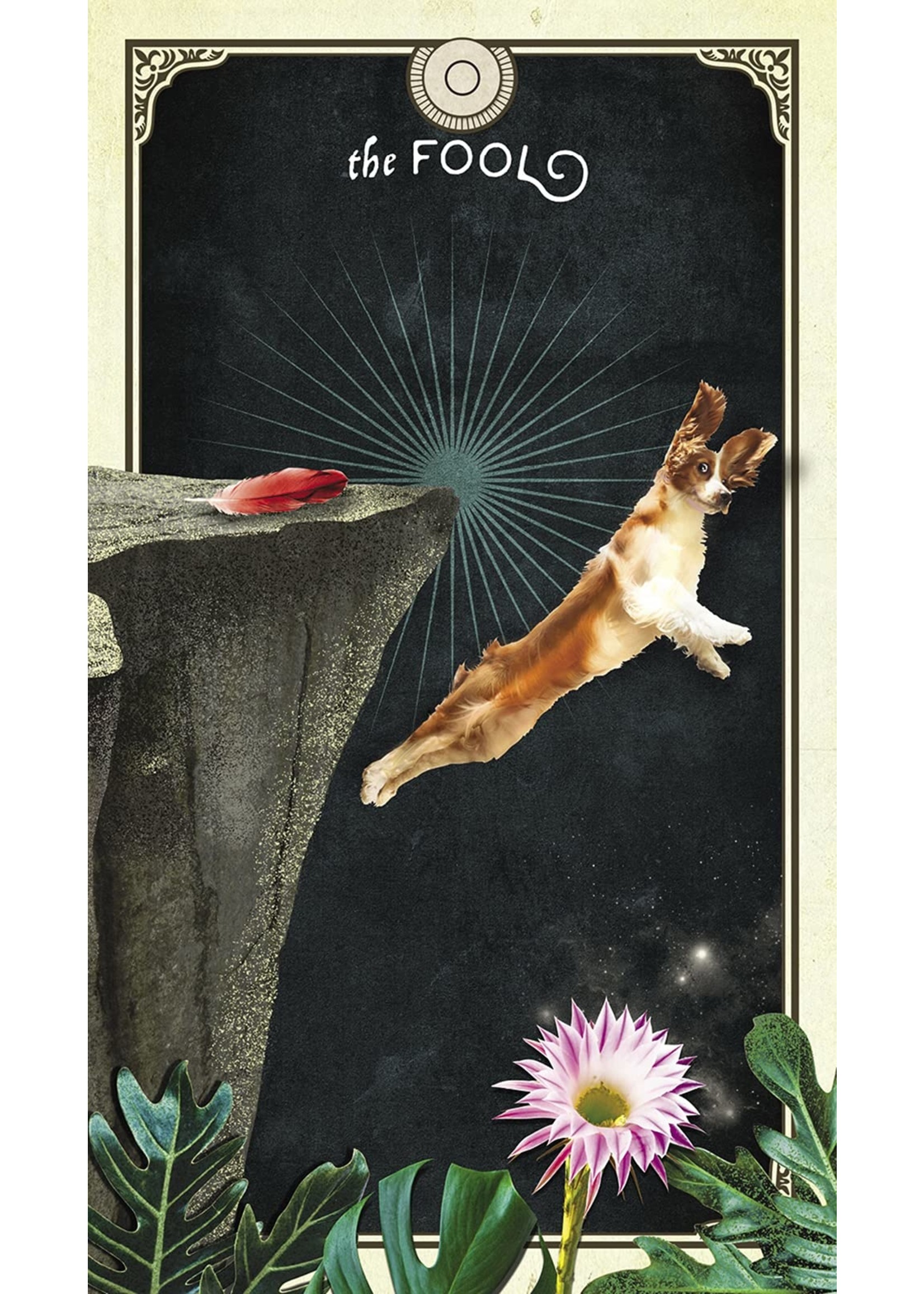 Deck The Tarot of Curious Creatures