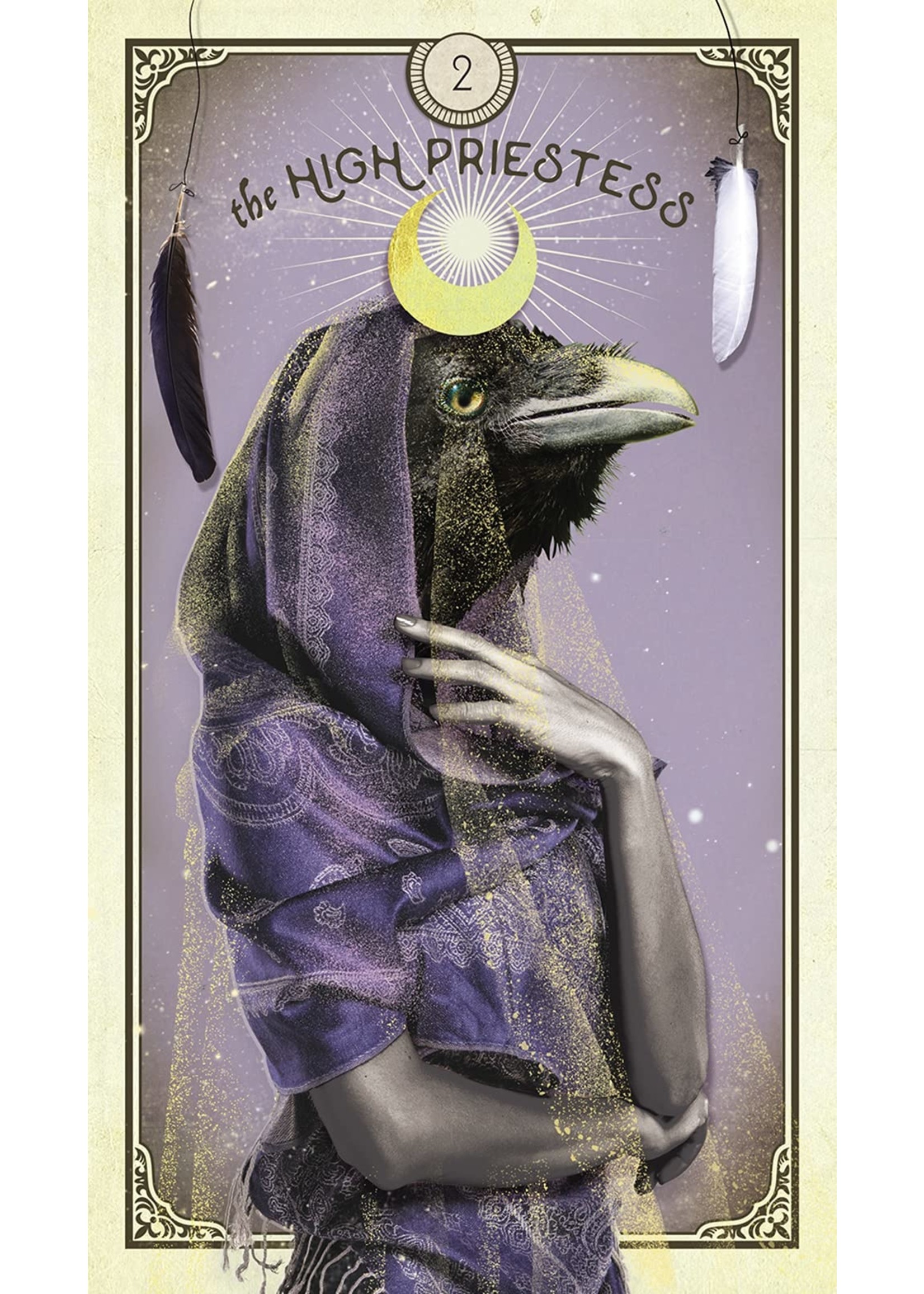 Deck The Tarot of Curious Creatures