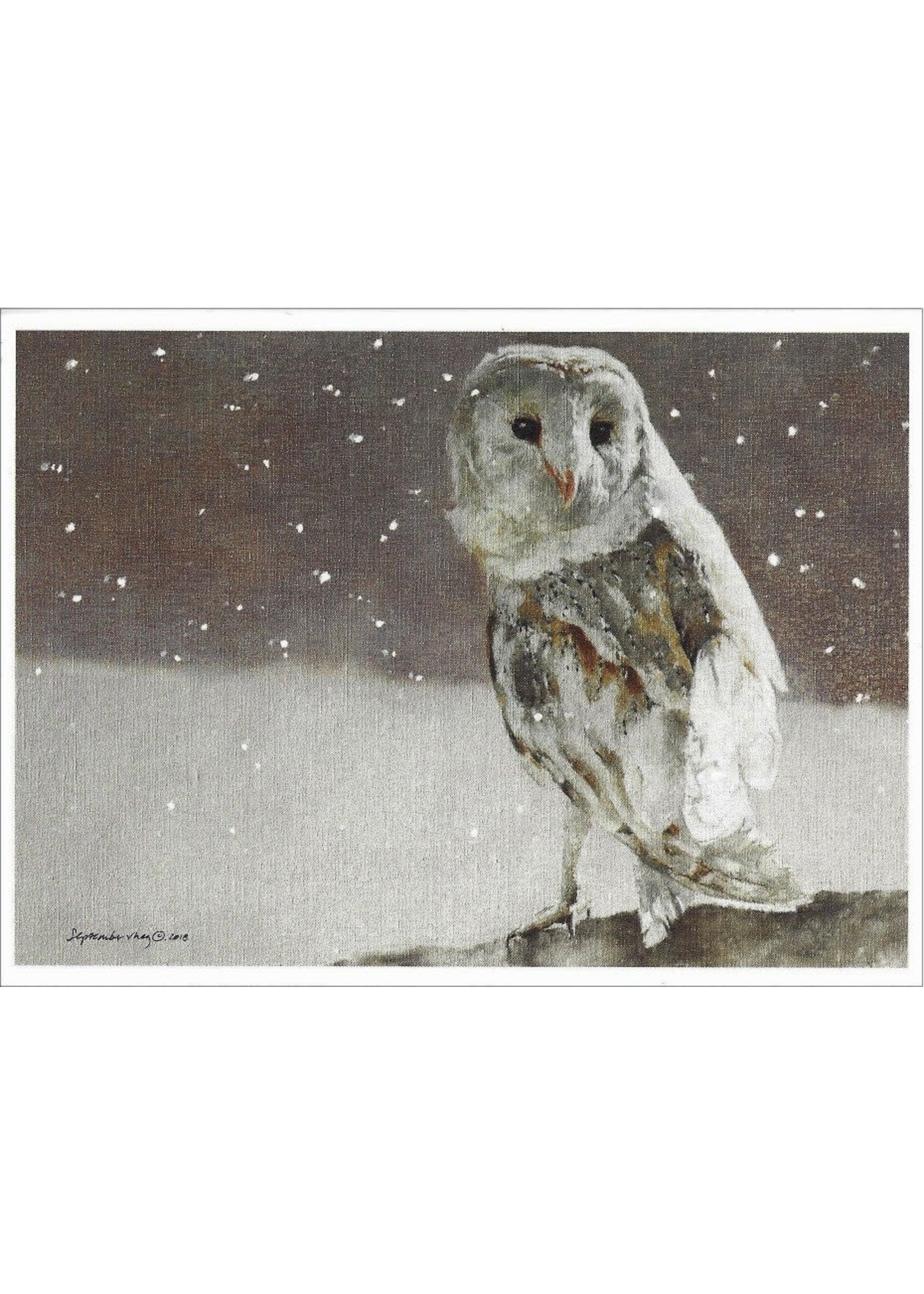 Card Box CH Barn Owl Silent Celebration 10ct