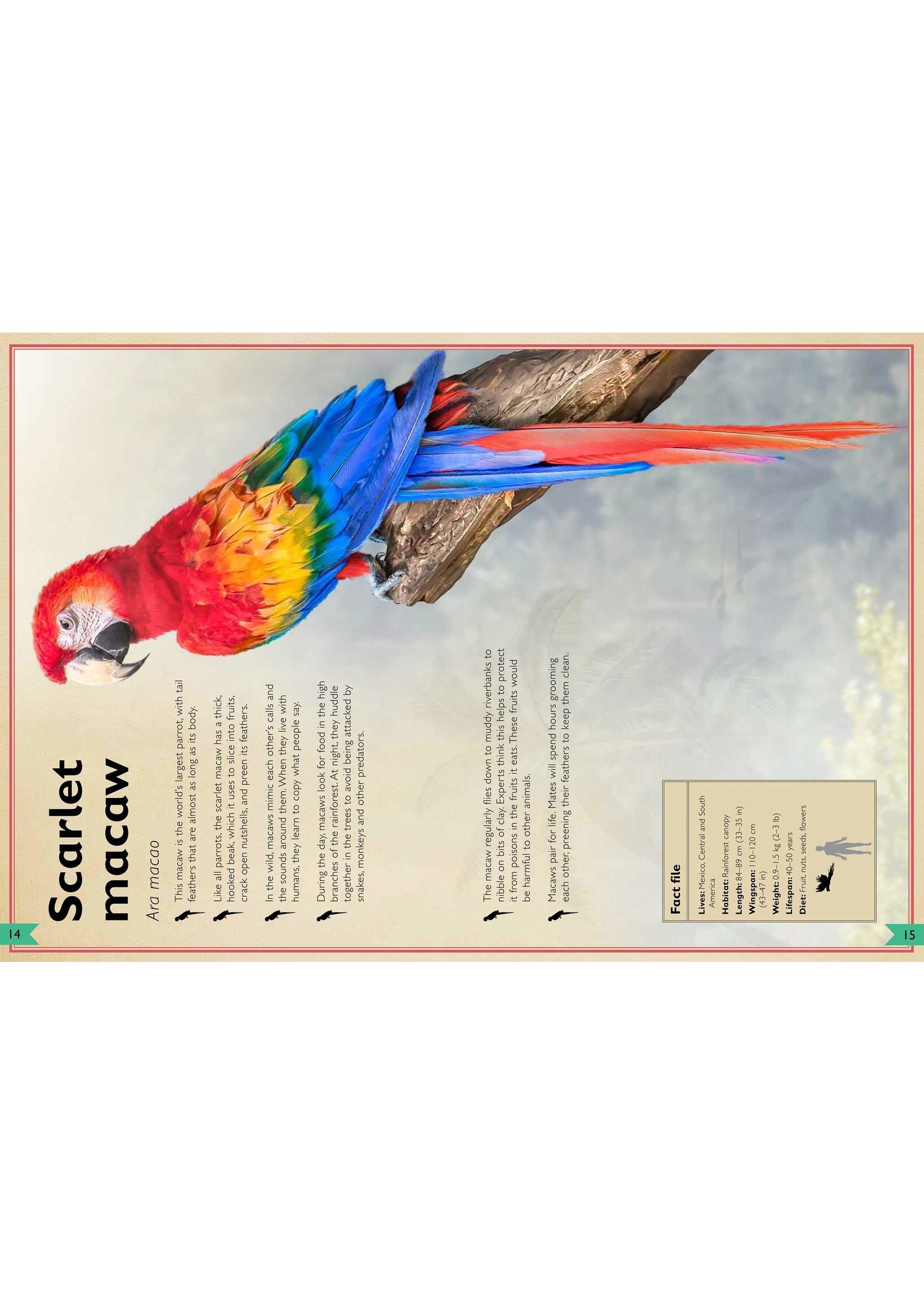 The Magnificent Book of Birds