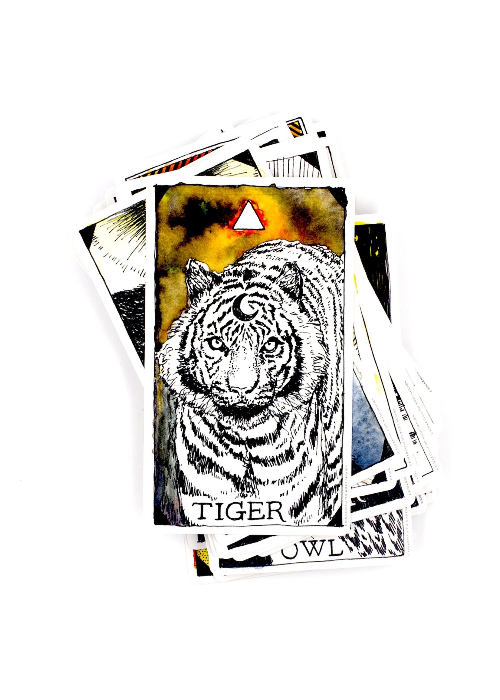 The Wild Unknown Animal Spirit Deck and Guidebook