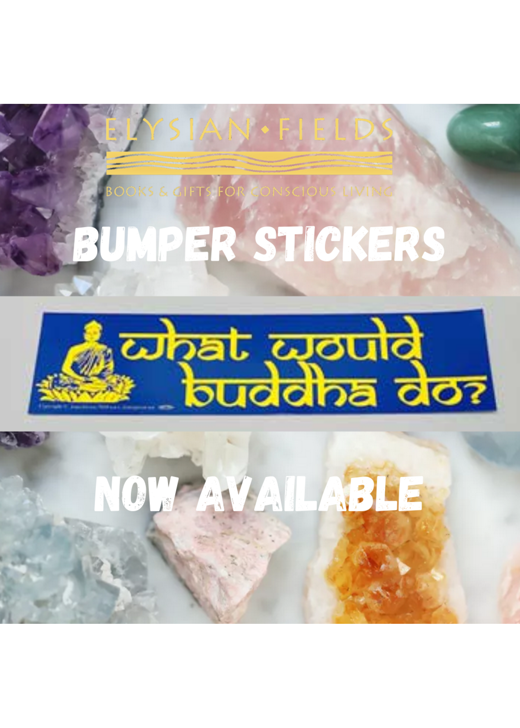 BS What Would Buddha Do