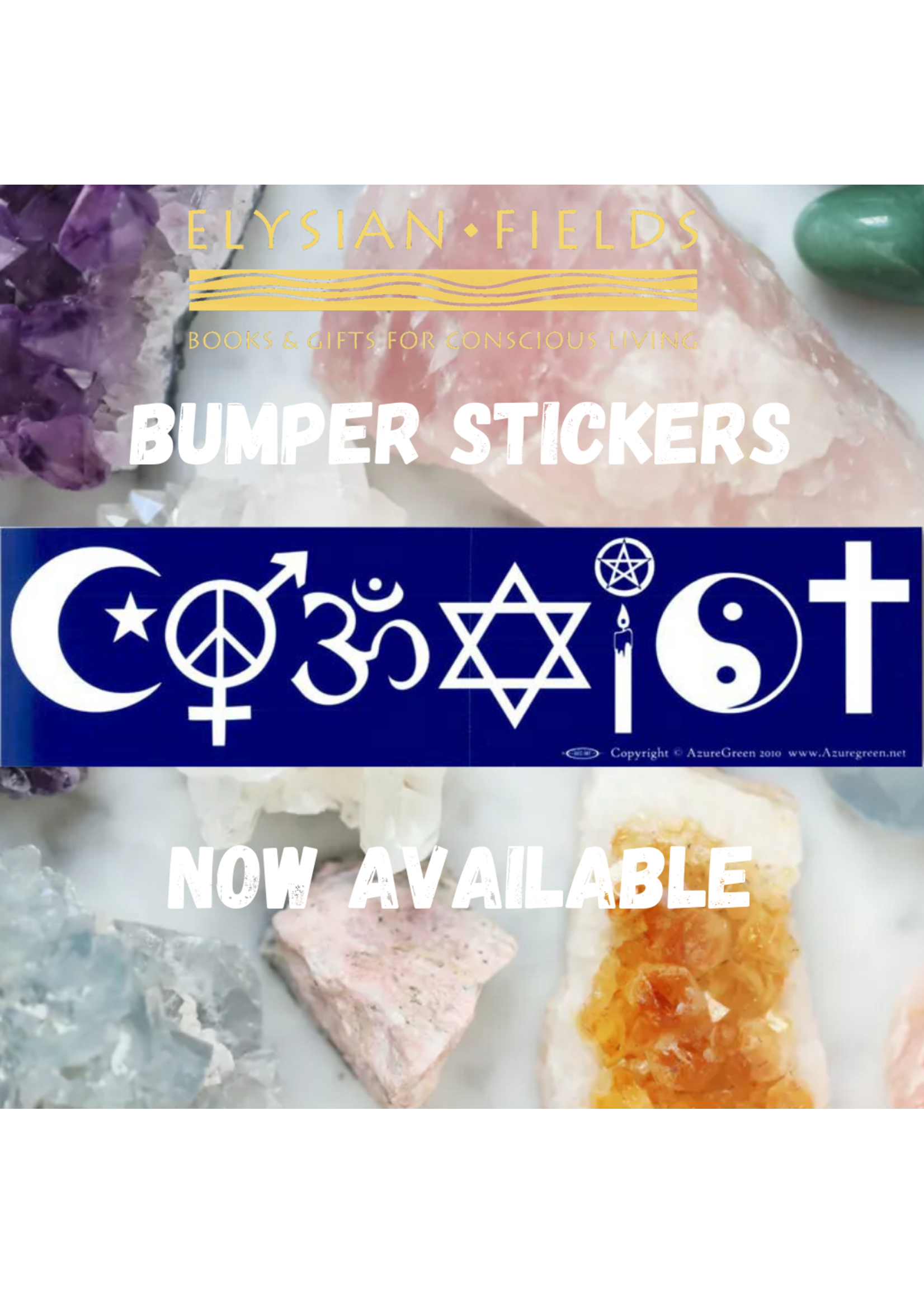 Bumper Sticker Coexist