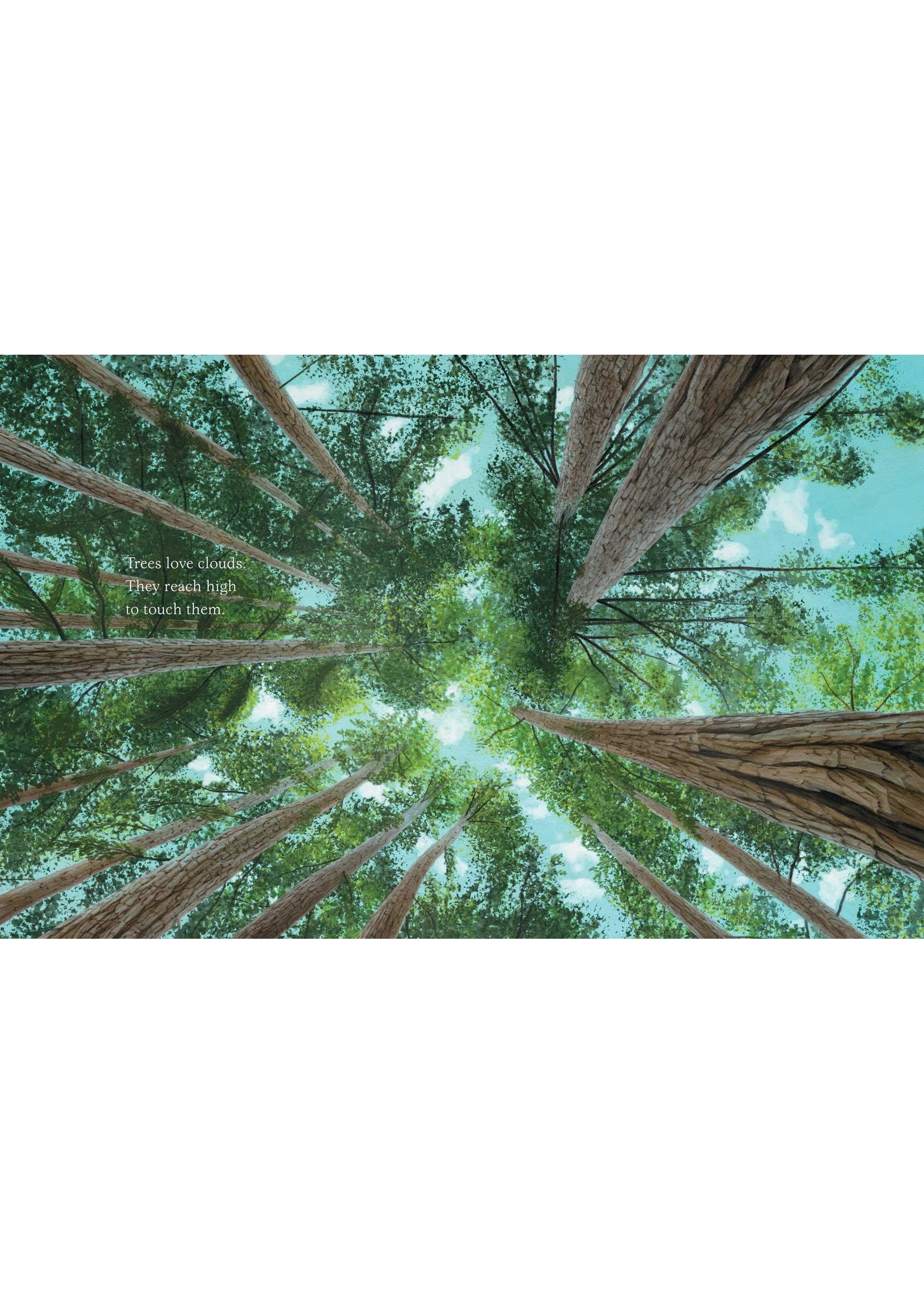 Trees
