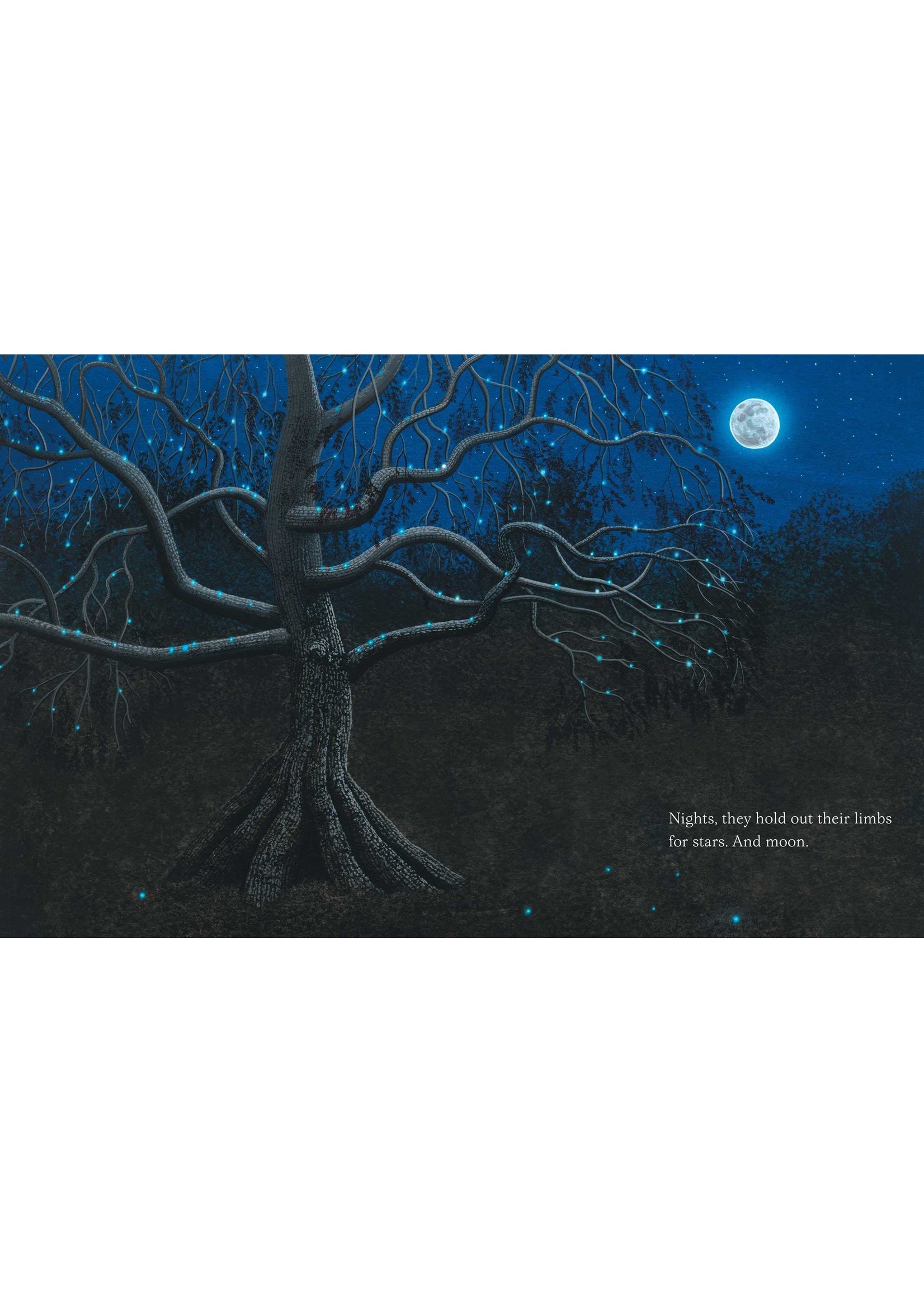 Trees