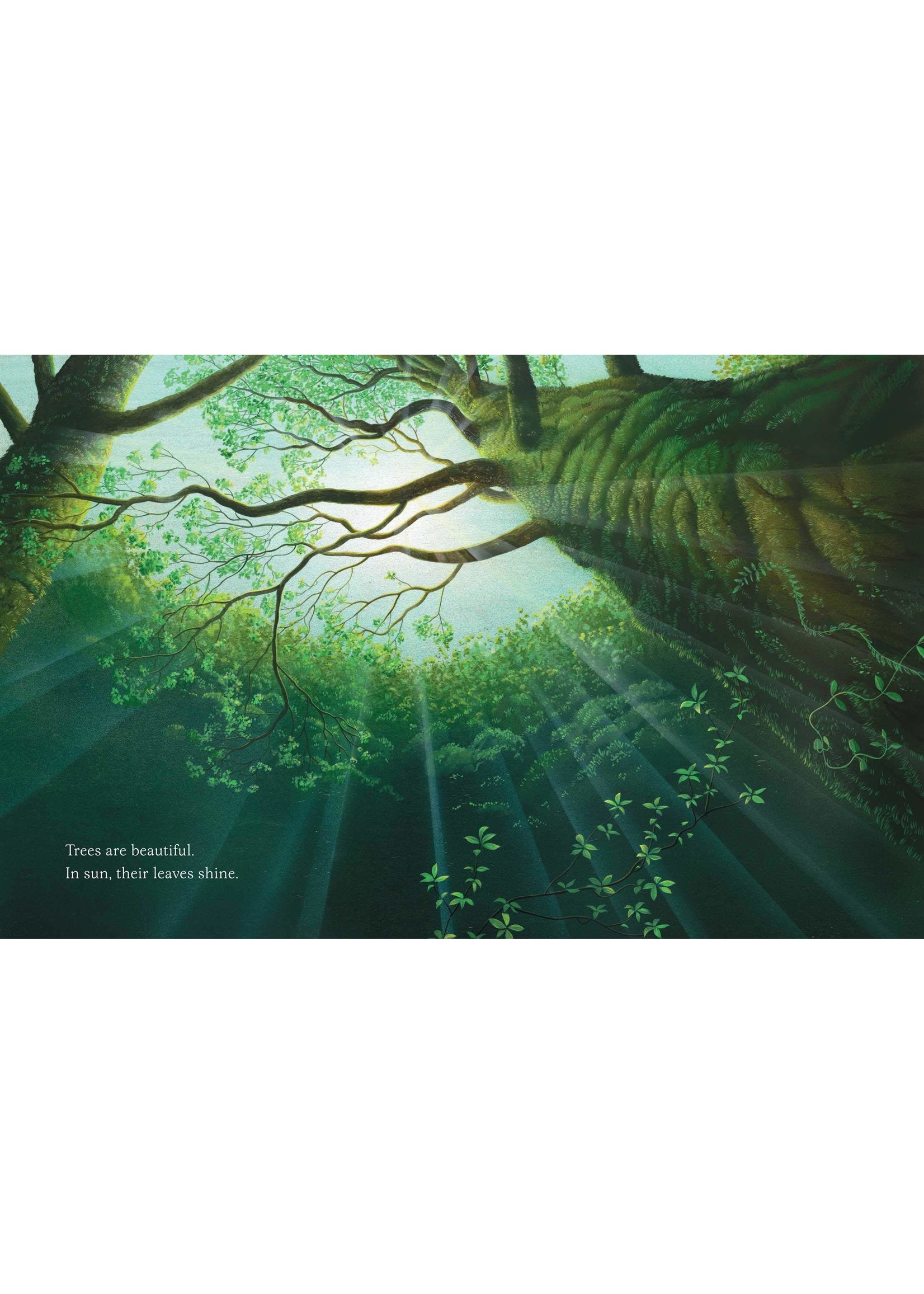 Trees