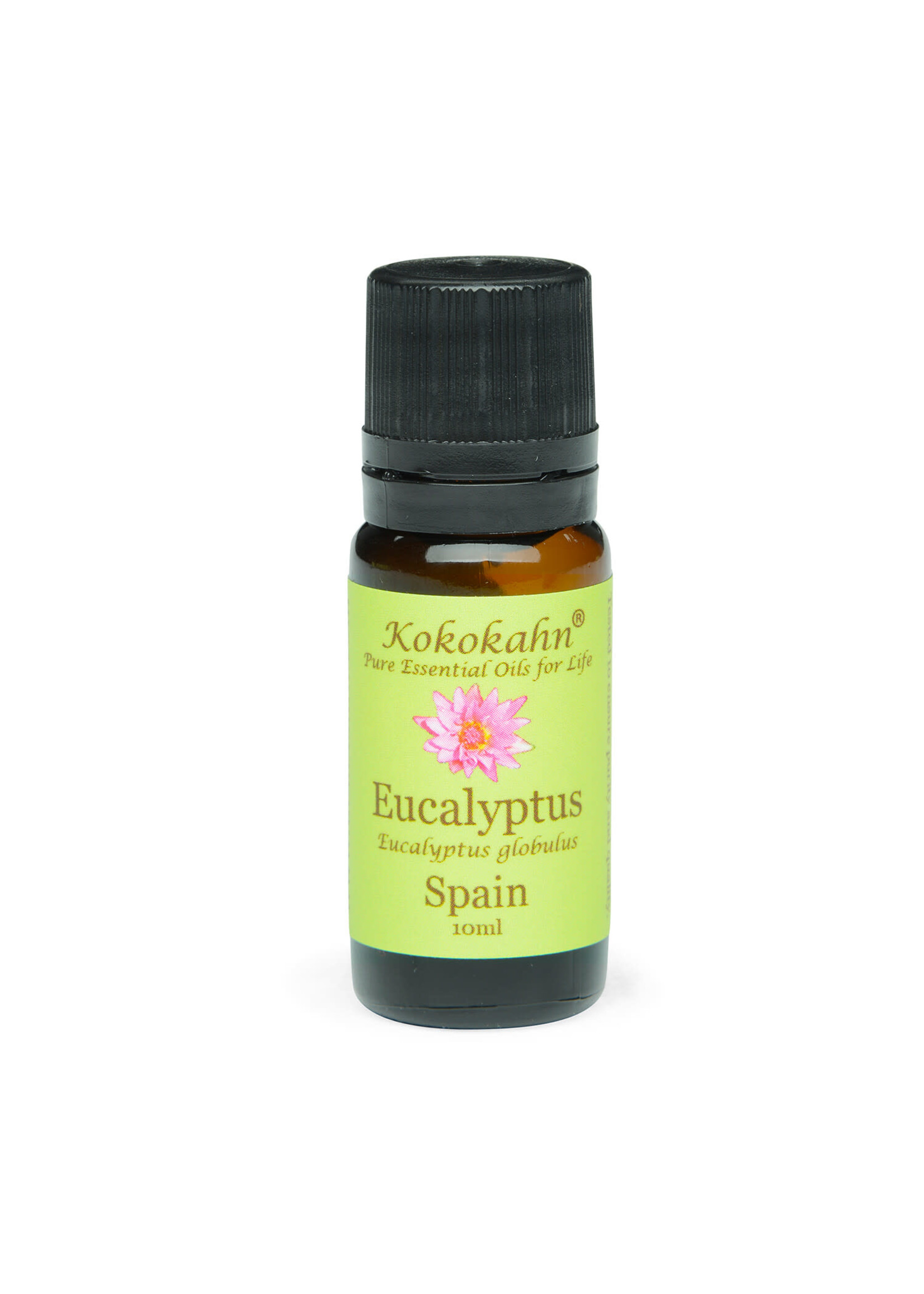 Kokokahn Essential Oil Eucalyptus