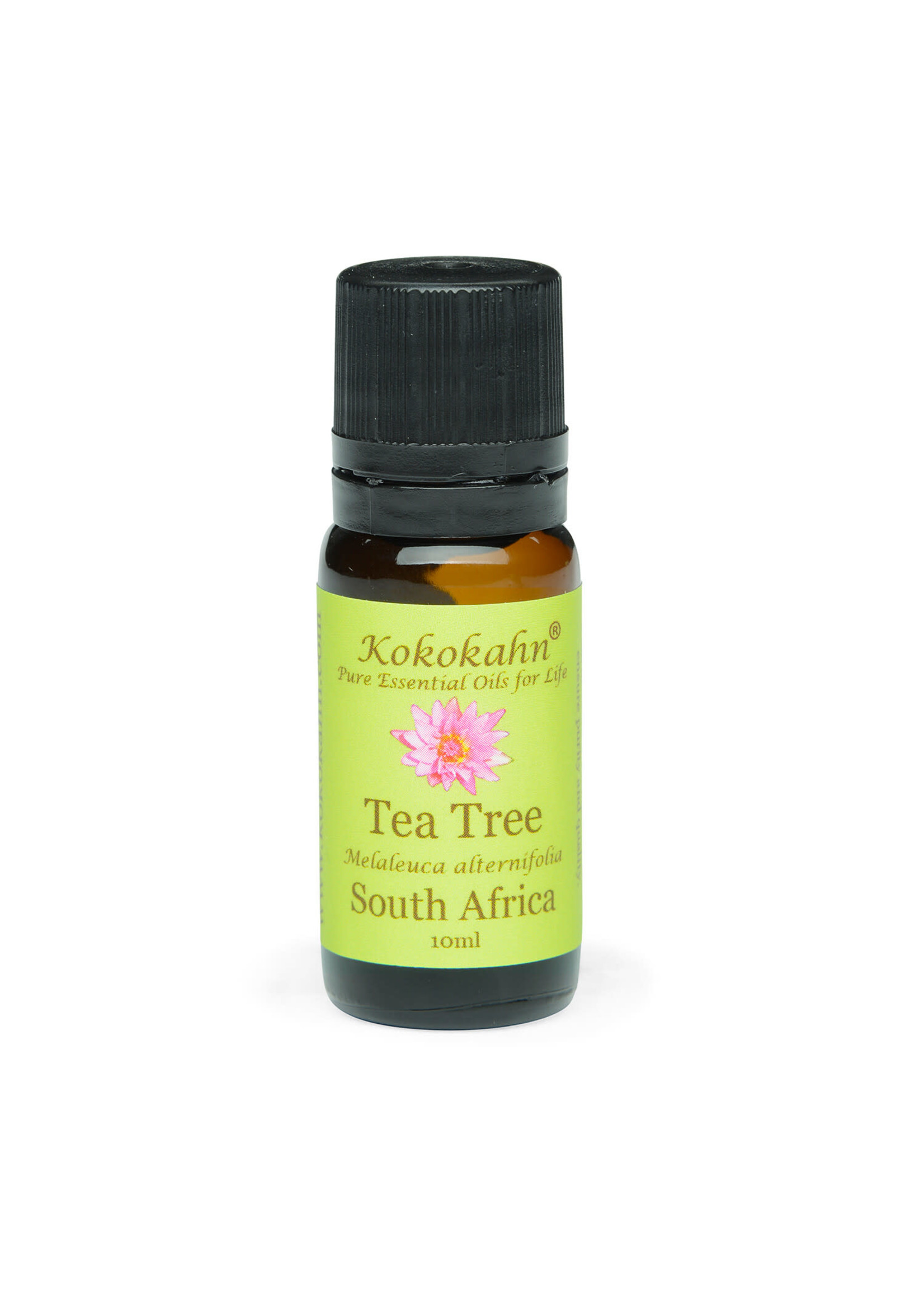 Kokokahn Tea Tree Essential Oil