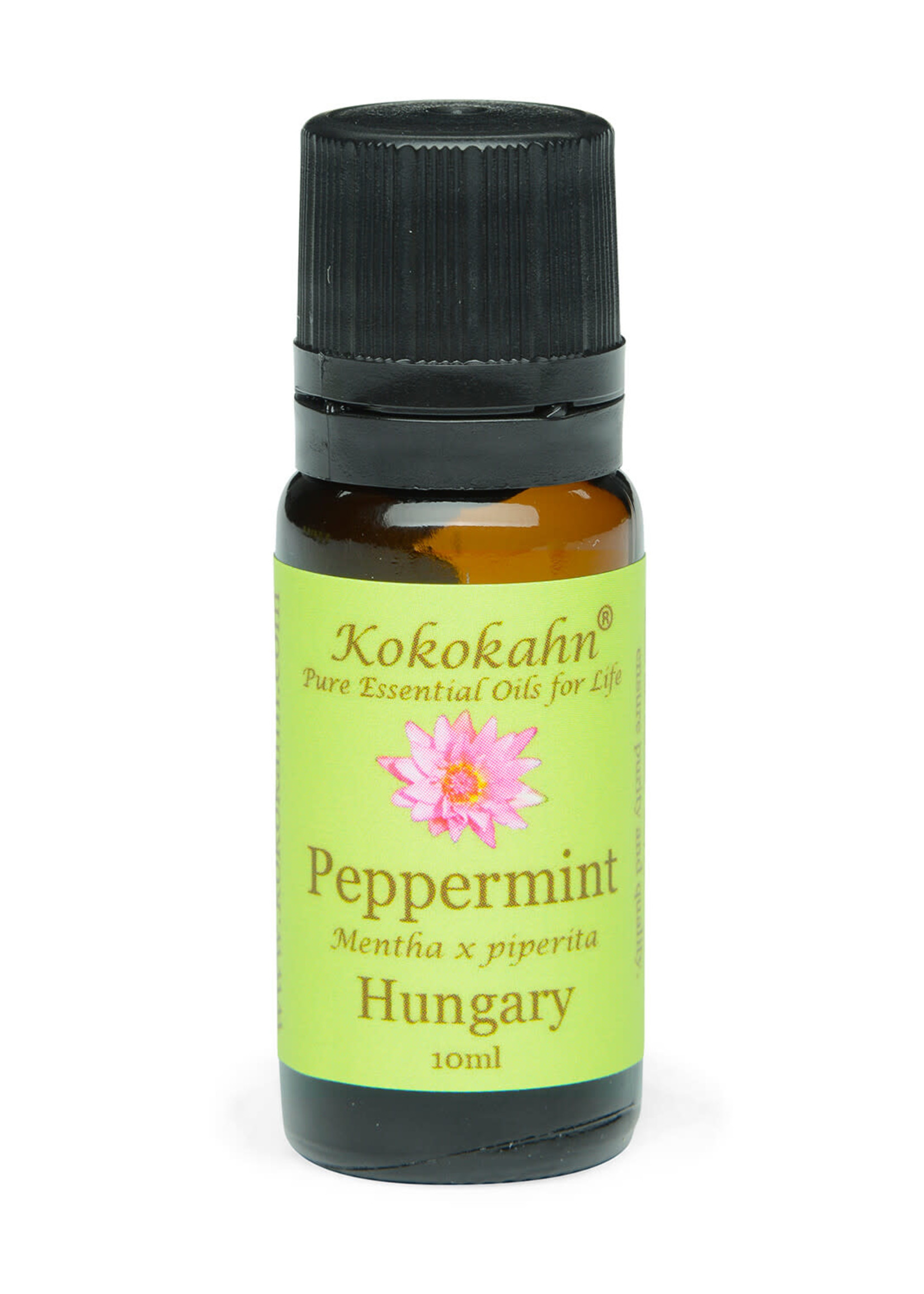 Kokokahn Peppermint Essential Oil