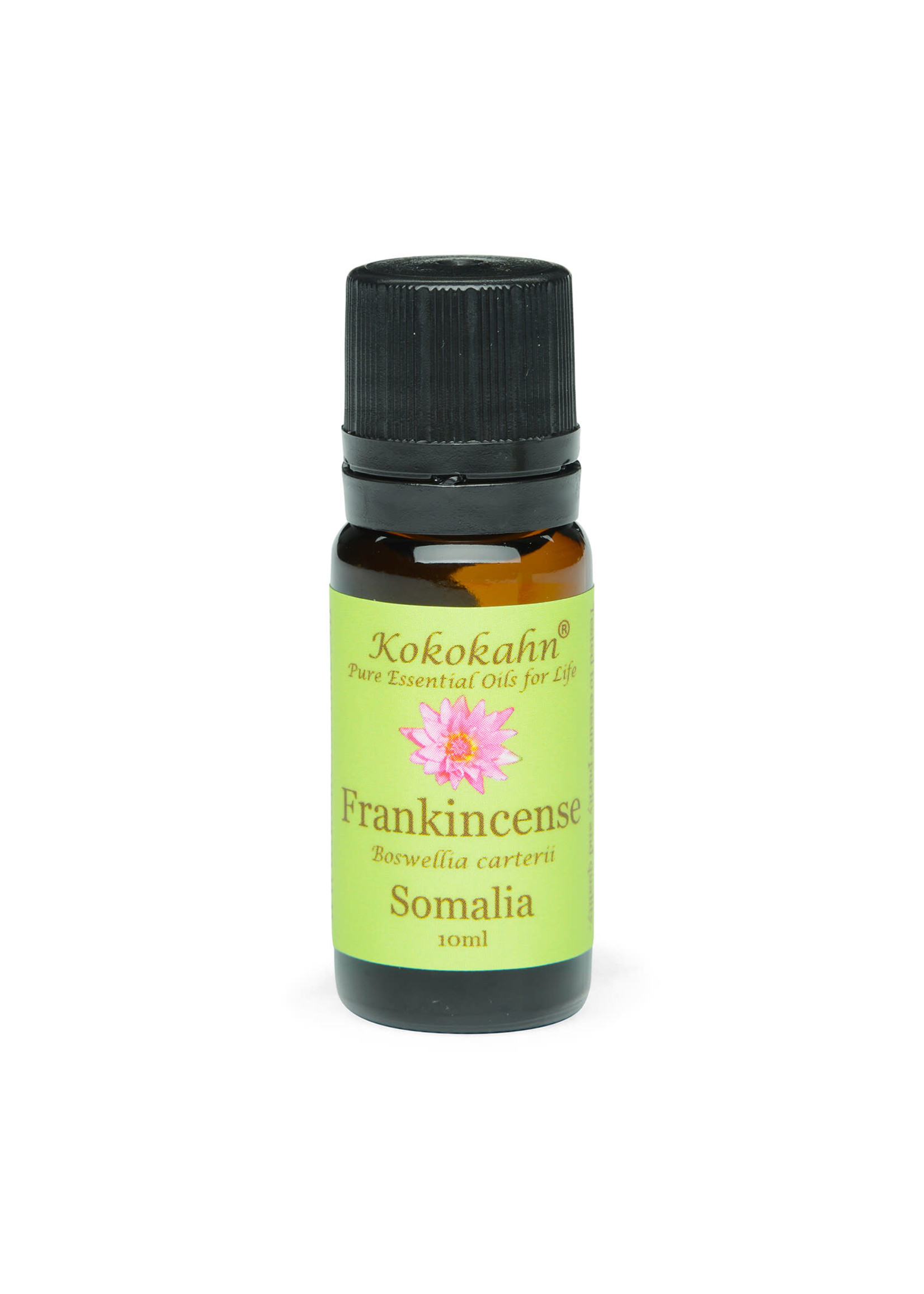 Kokokahn Frankincense Essential Oil