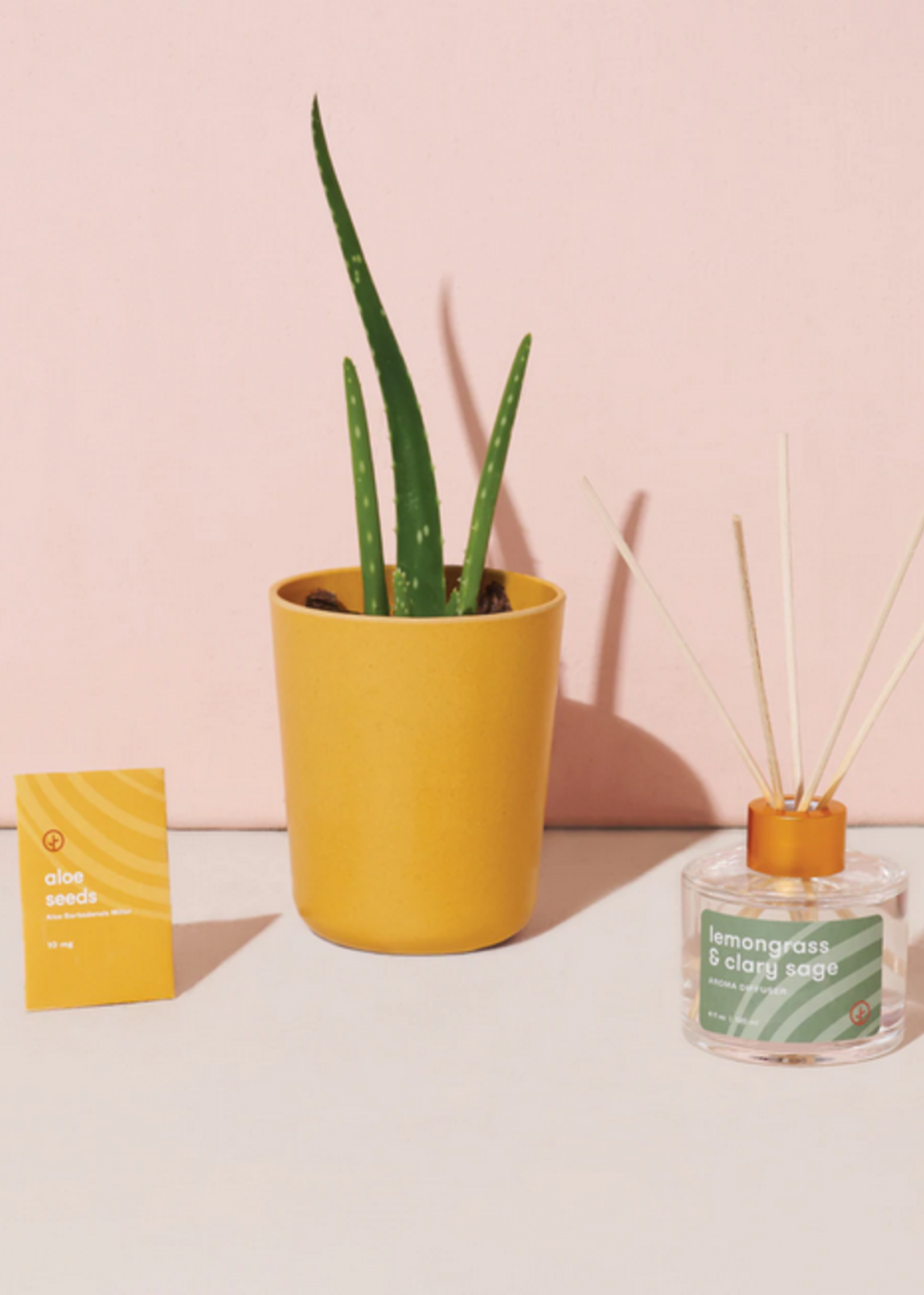 Find Balance Grounding Aloe Kit