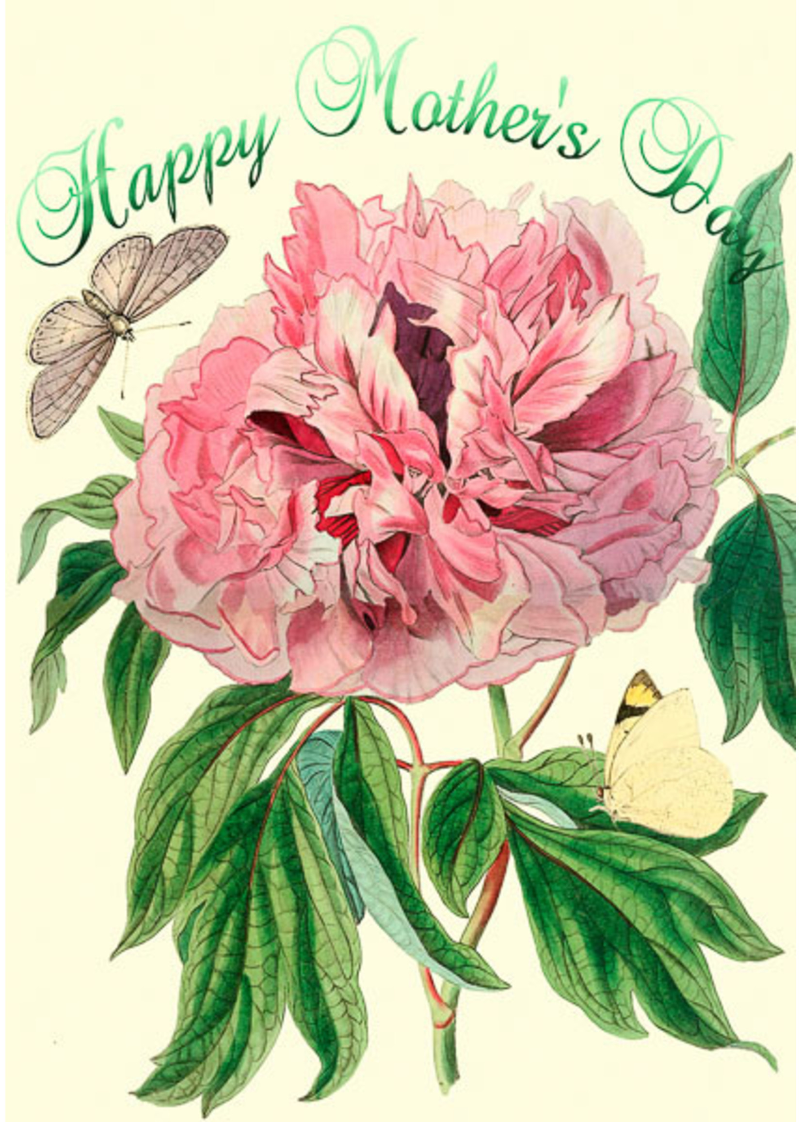 Card MDAY A Peony