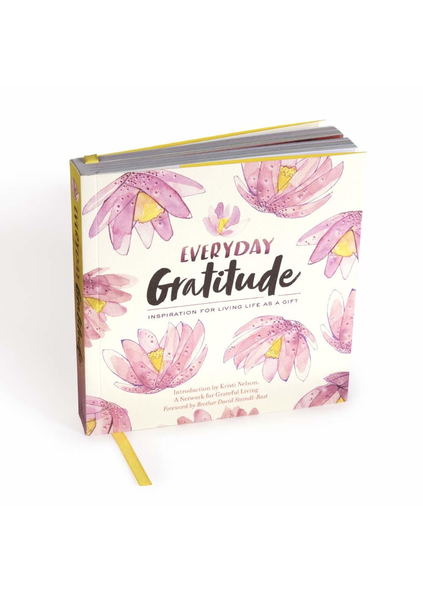 Everyday Gratitude Inspiration for Living Life as a Gift