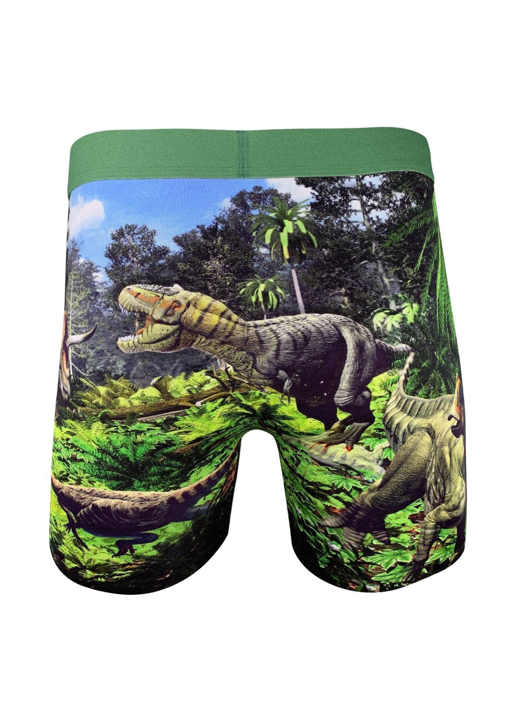 Men's Underwear Dinosaur Valley
