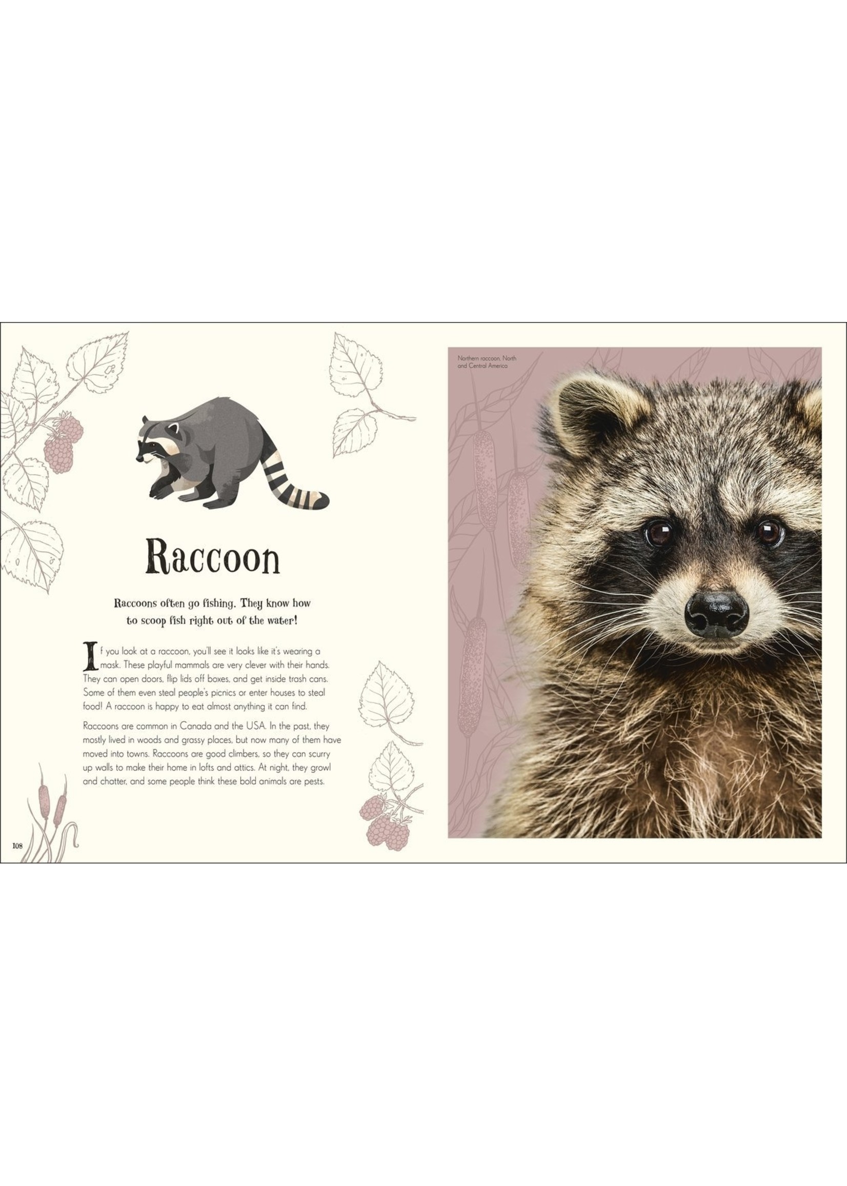 Anthology of Intriguing Animals - Elysian Fields