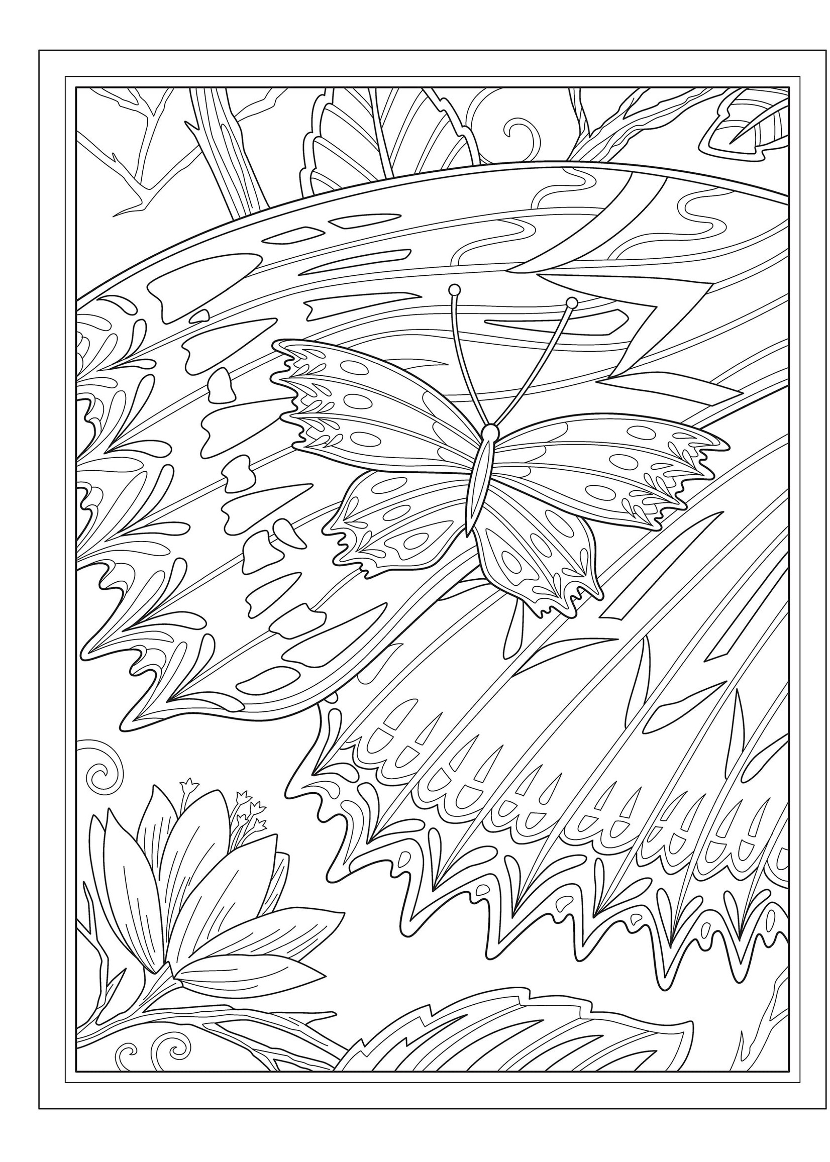 Creative Haven Butterflies Flights of Fancy Coloring Book