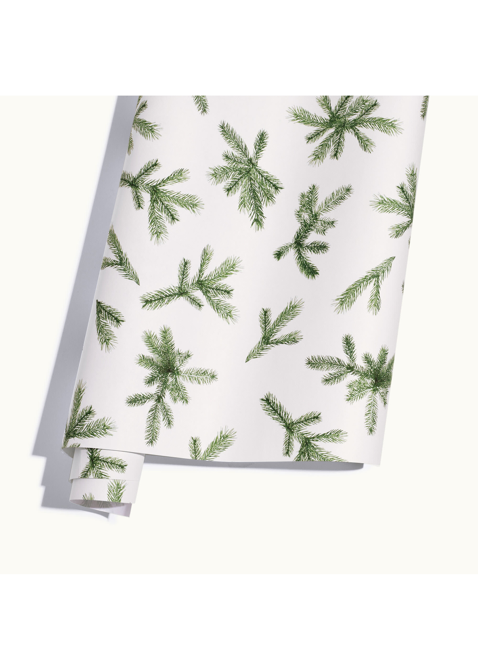 Frasier Fir Fragranced Wrapping Paper