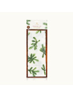 Frasier Fir Fragranced Tissue Paper