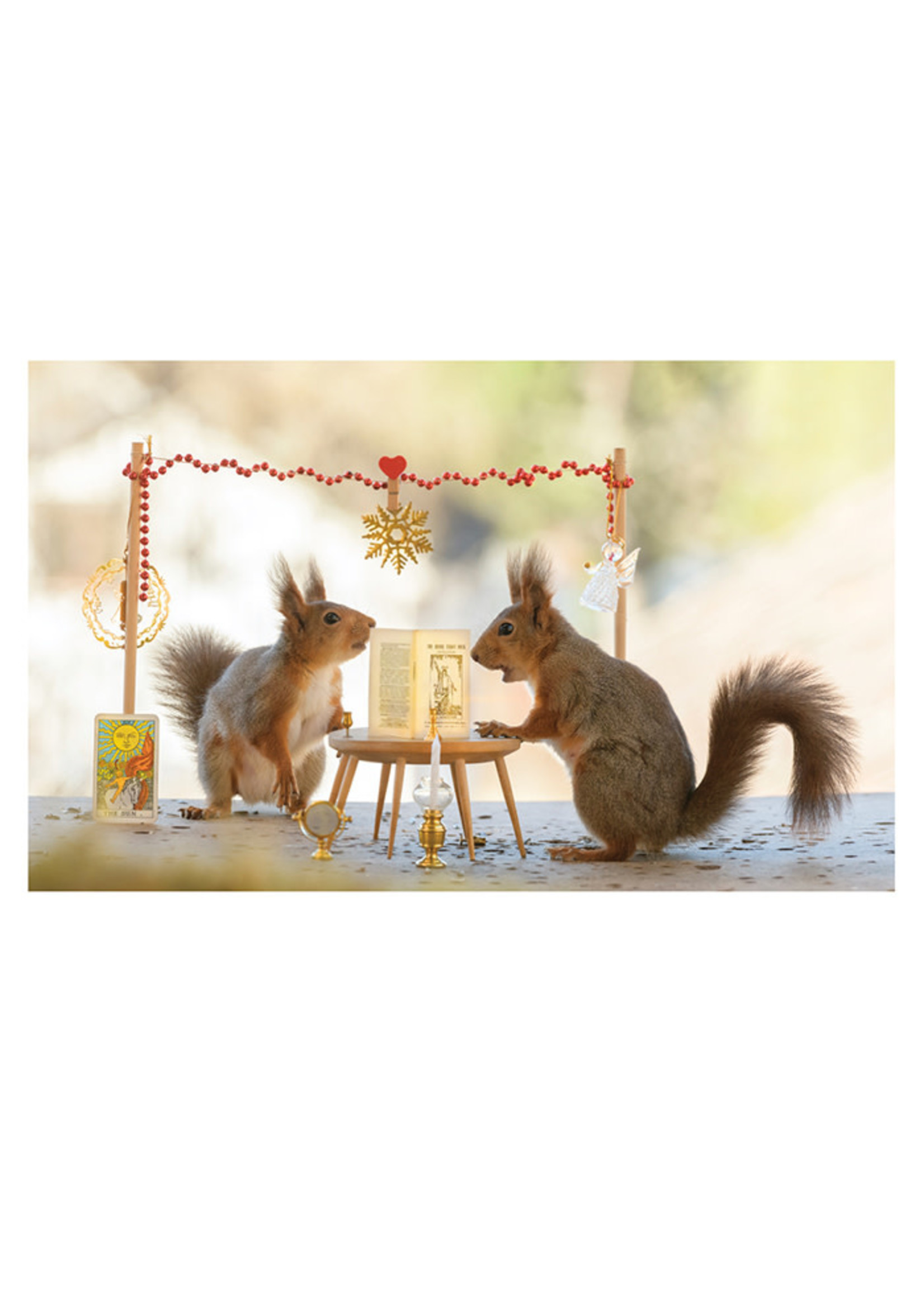Card Bx Xmas Squirrels Tarot Cards