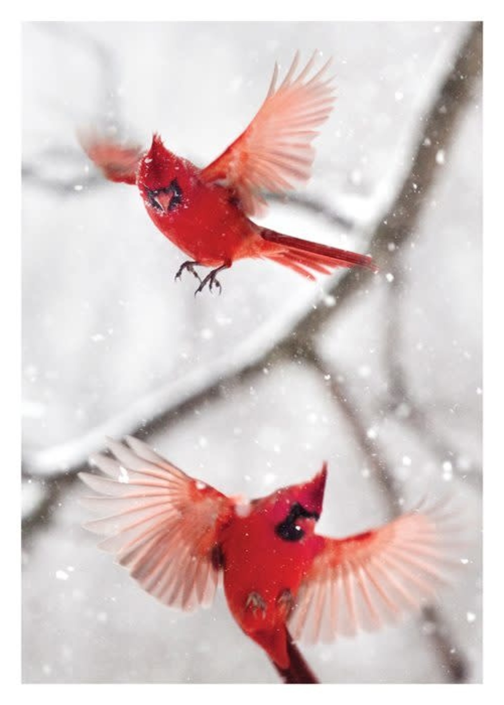 Card BX XMAS Cardinals in Flight