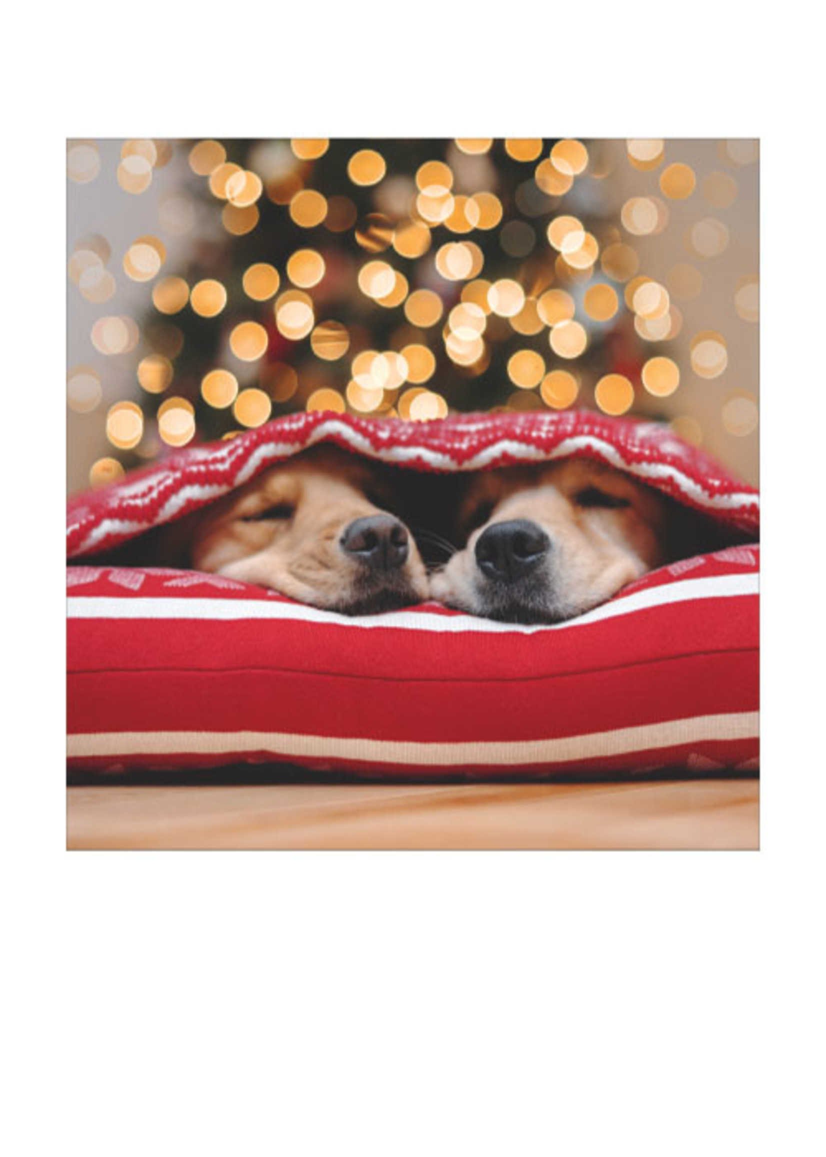 Card XMAS Two Dogs Waiting for Santa