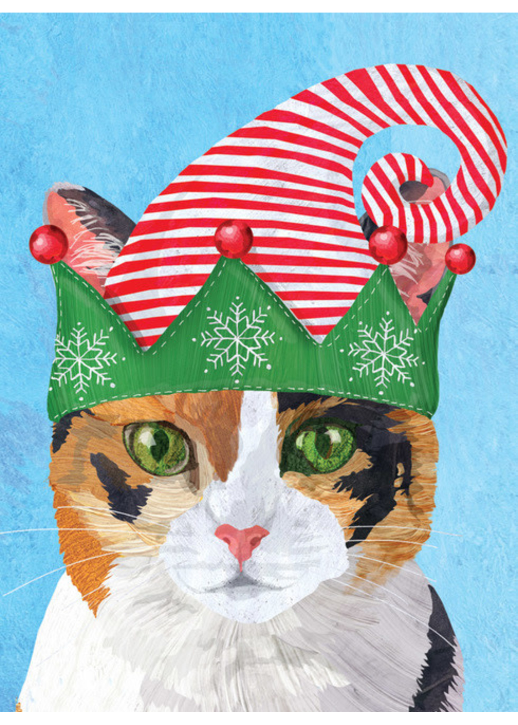 Card Xmas Cat in Hat Boxed